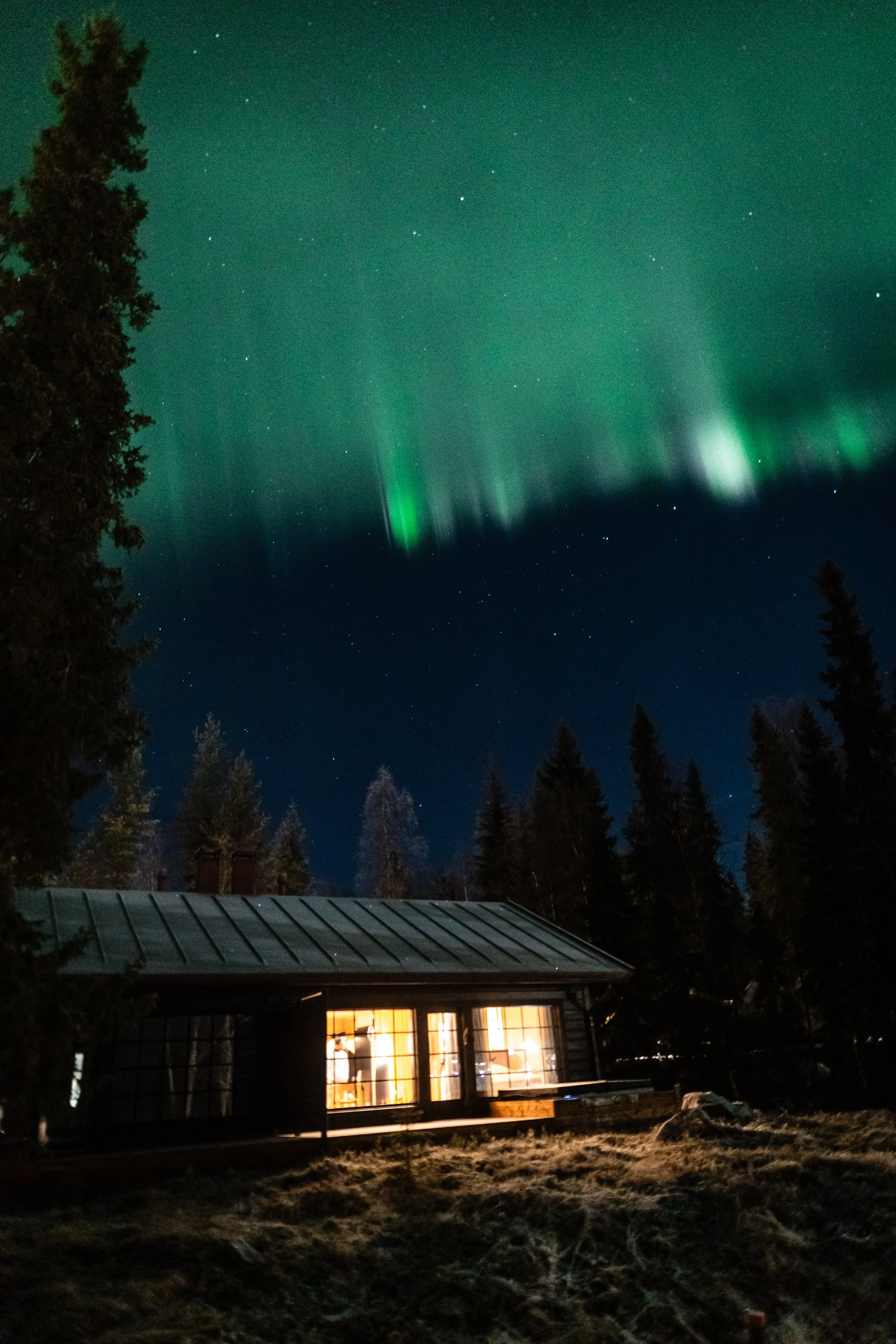 Yön taustalla näkyvät revontulet ja tähtiä, talo ikkunassa valaistus näkyvissä, ympäröivät puut.