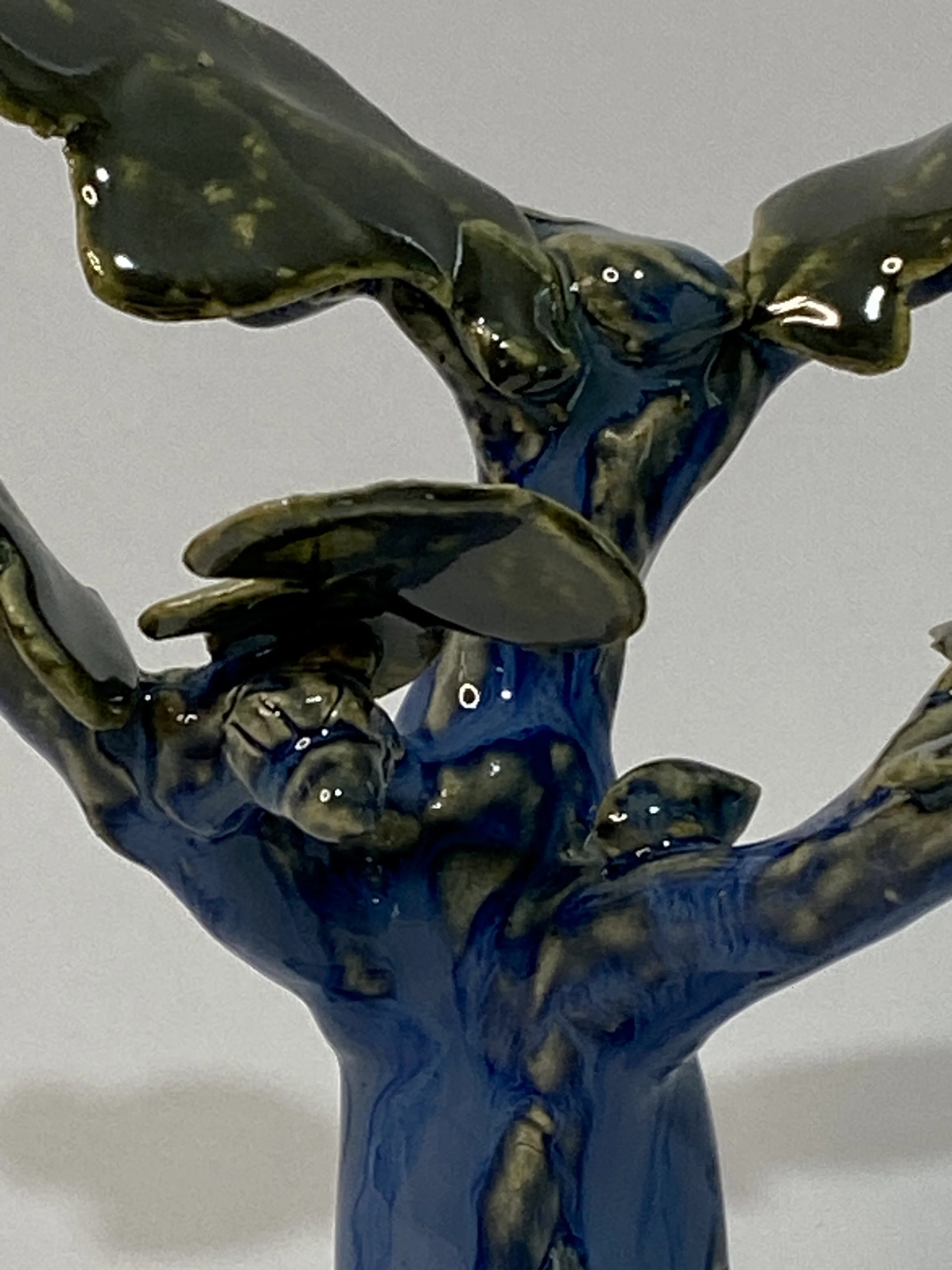 IMG_6078.jpeg