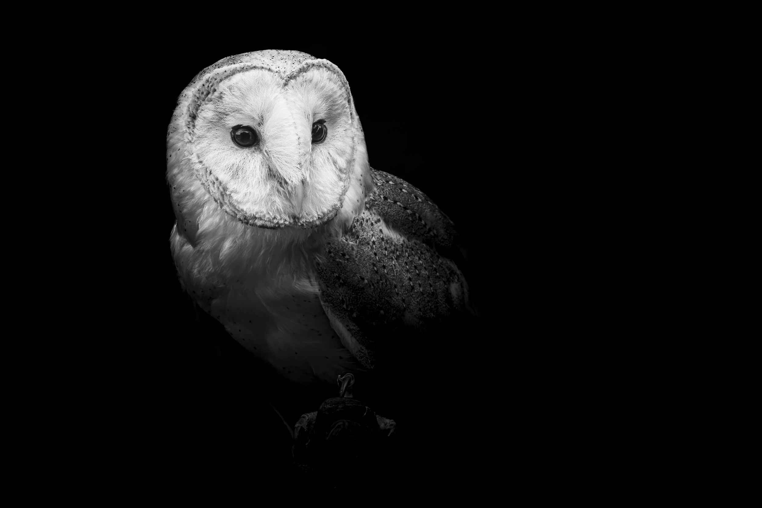 expo photo260720240011.jpg