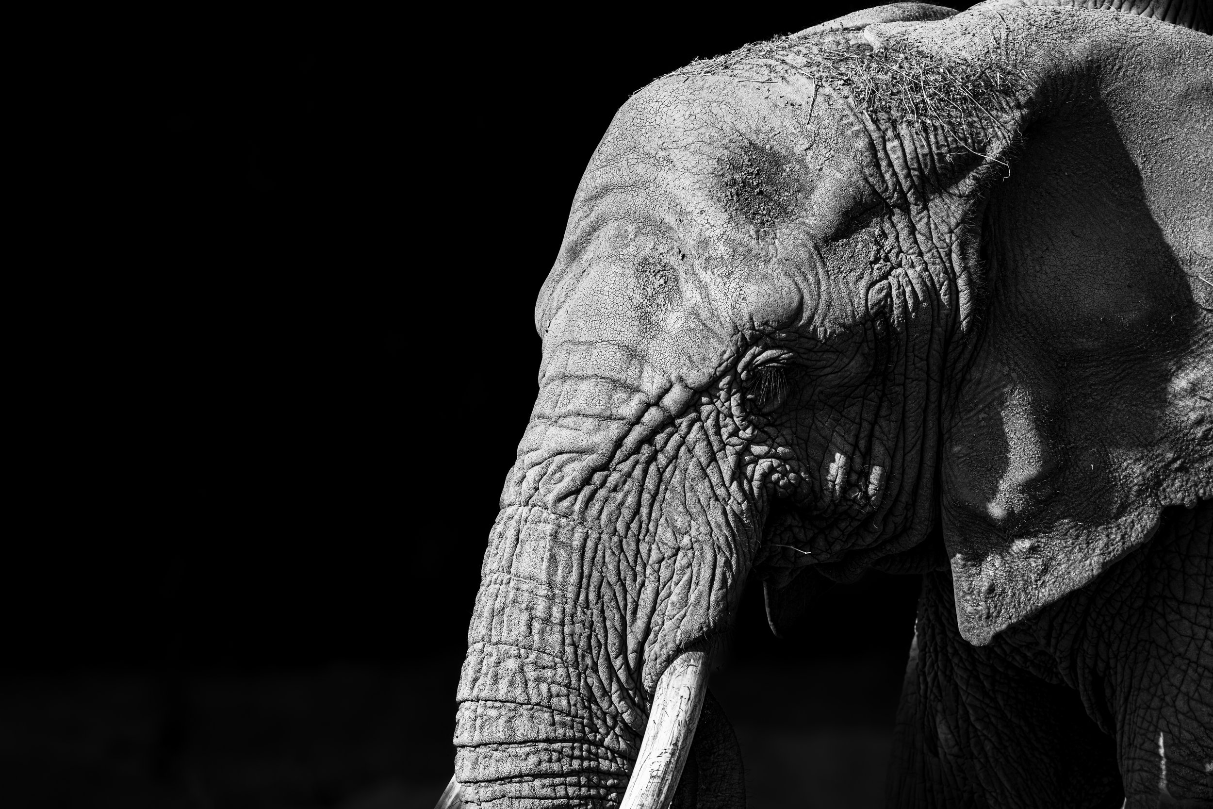 expo photo220820250004.jpg