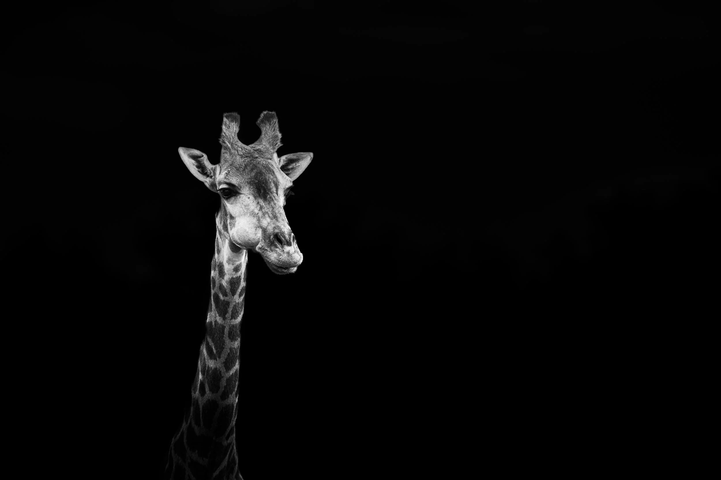 expo photo220820250010.jpg