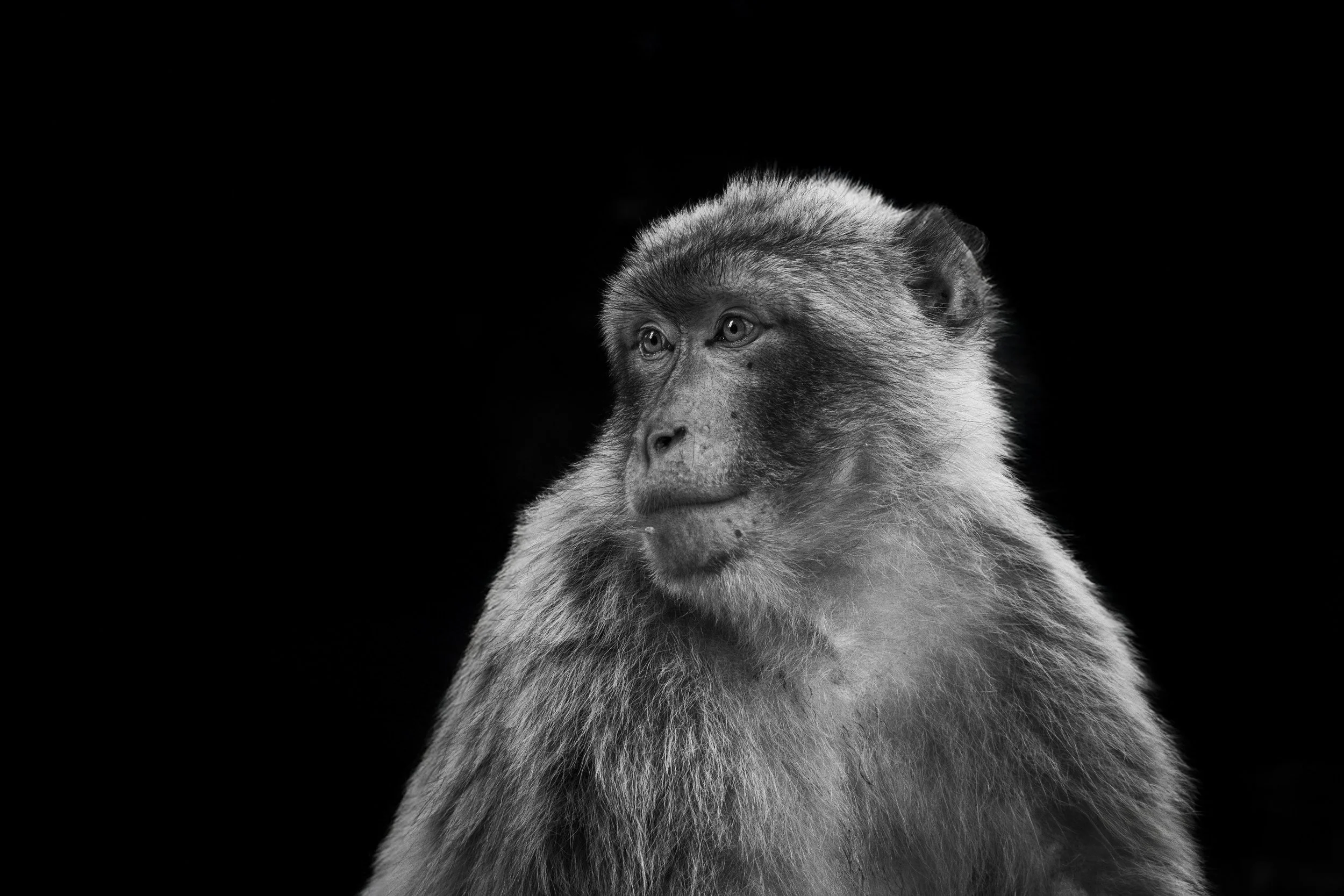 expo photo160720240006.jpg