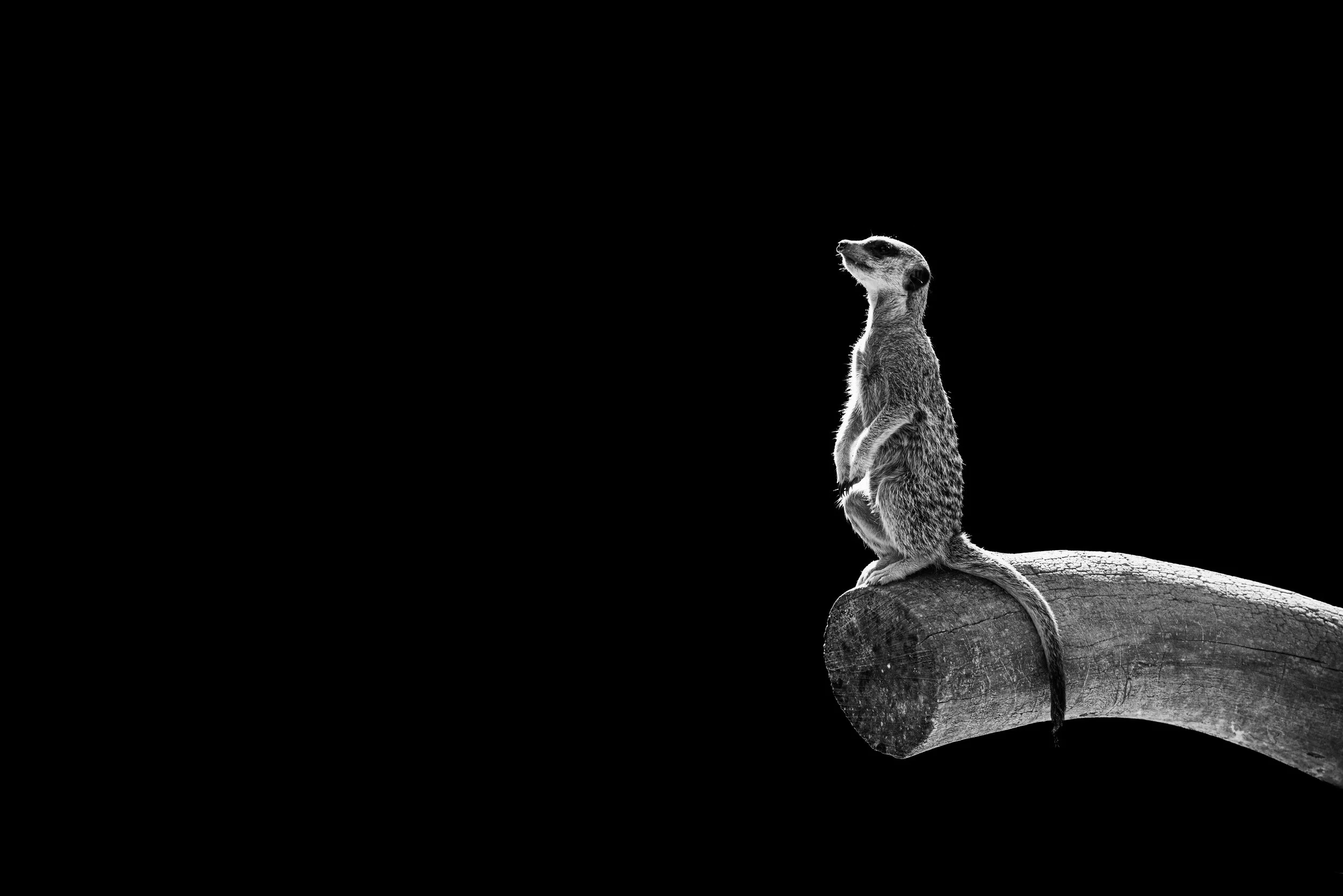 expo photo220820250007.jpg