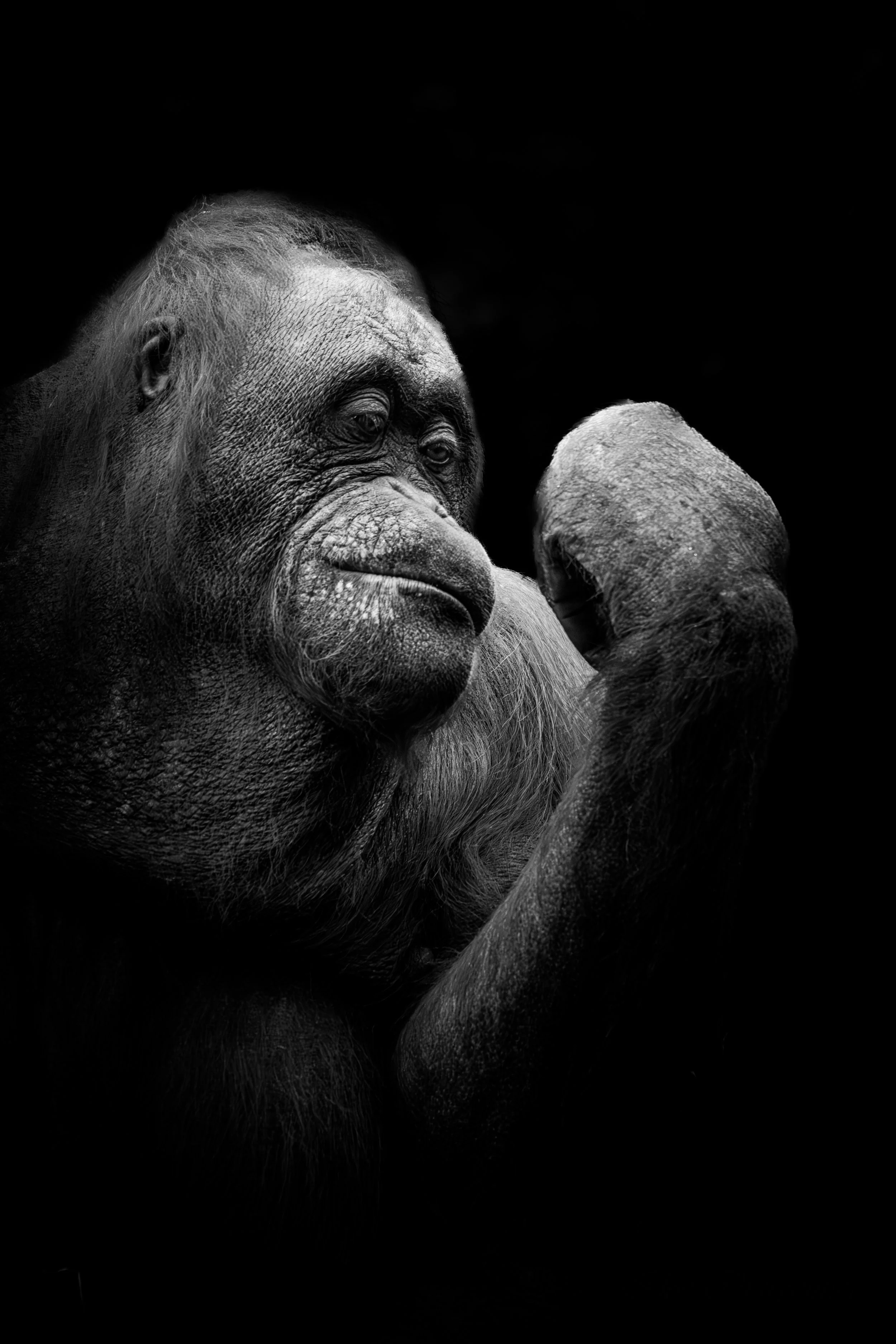 expo photo241120240002.jpg