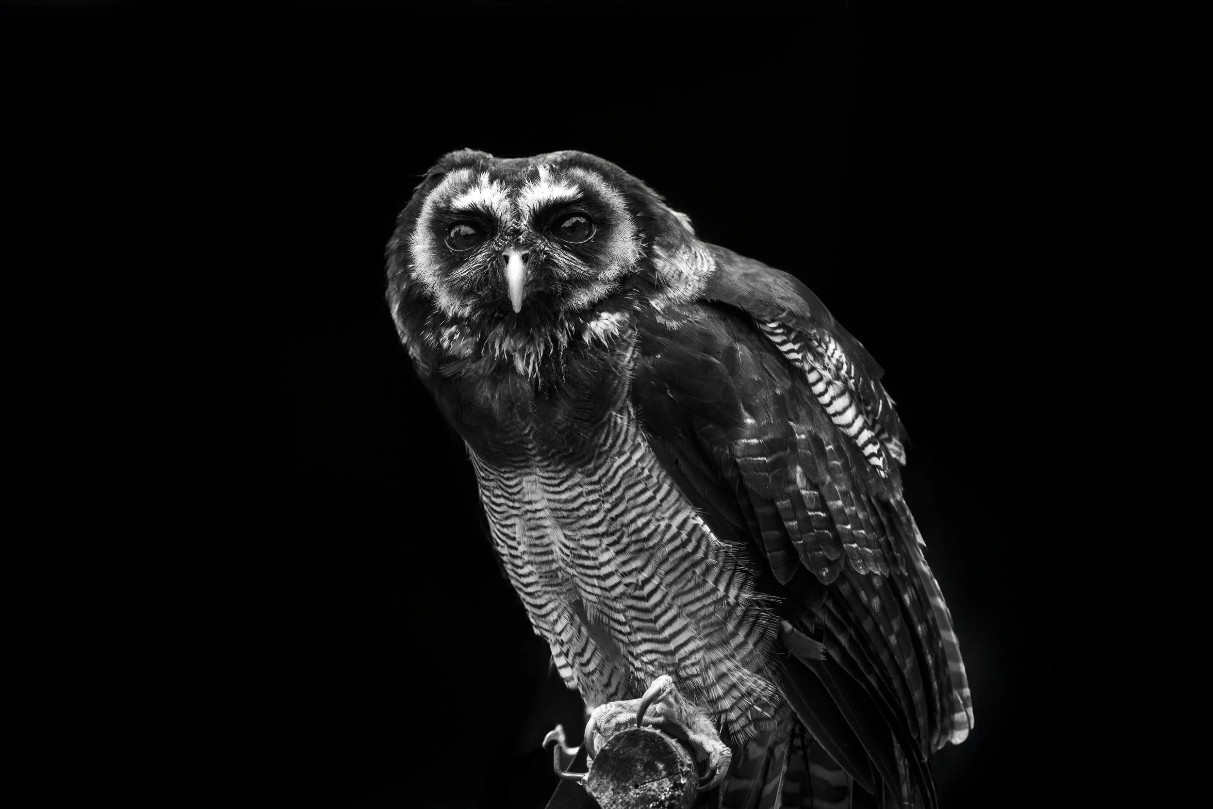 expo photo160720240005.jpg