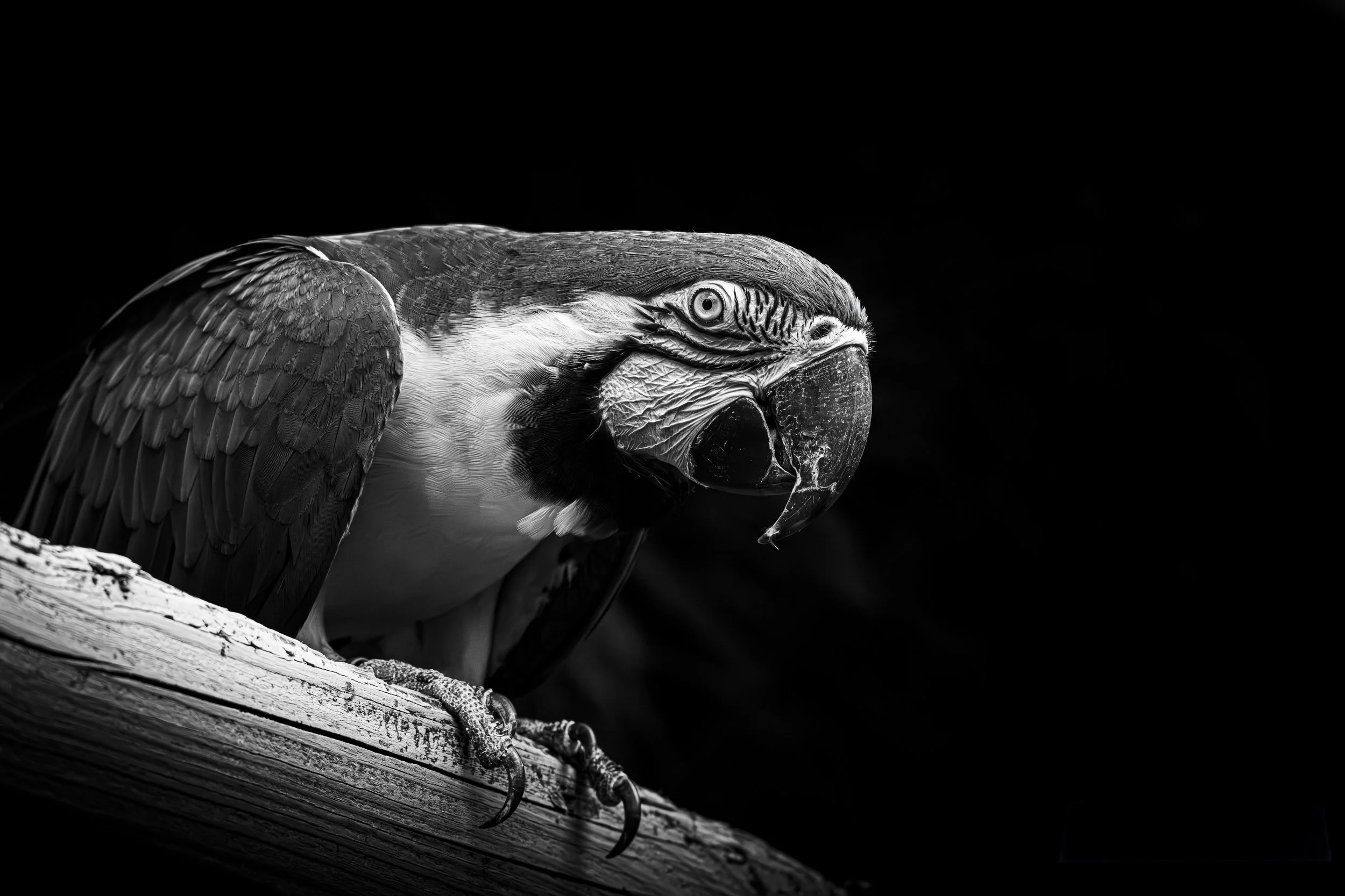 expo photo260720240010.jpg