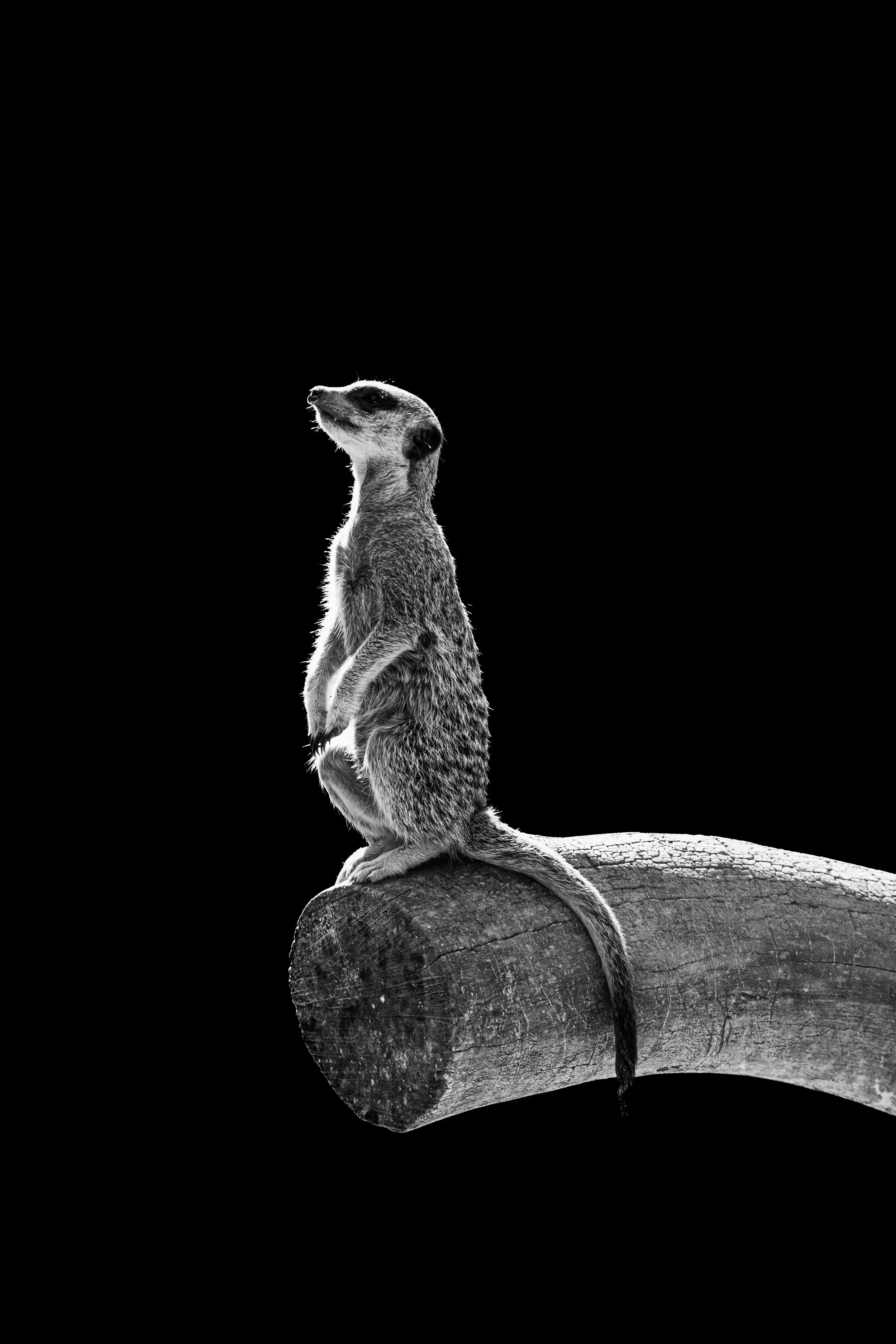 expo photo220820250008.jpg