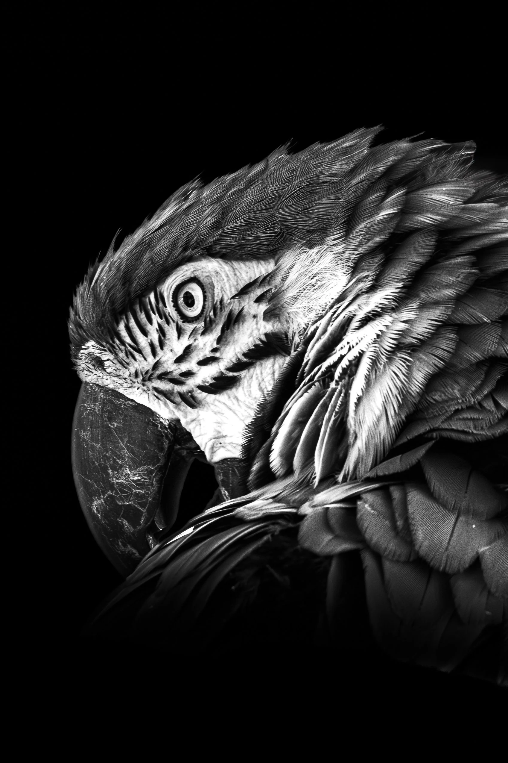 expo photo270820240001.jpg