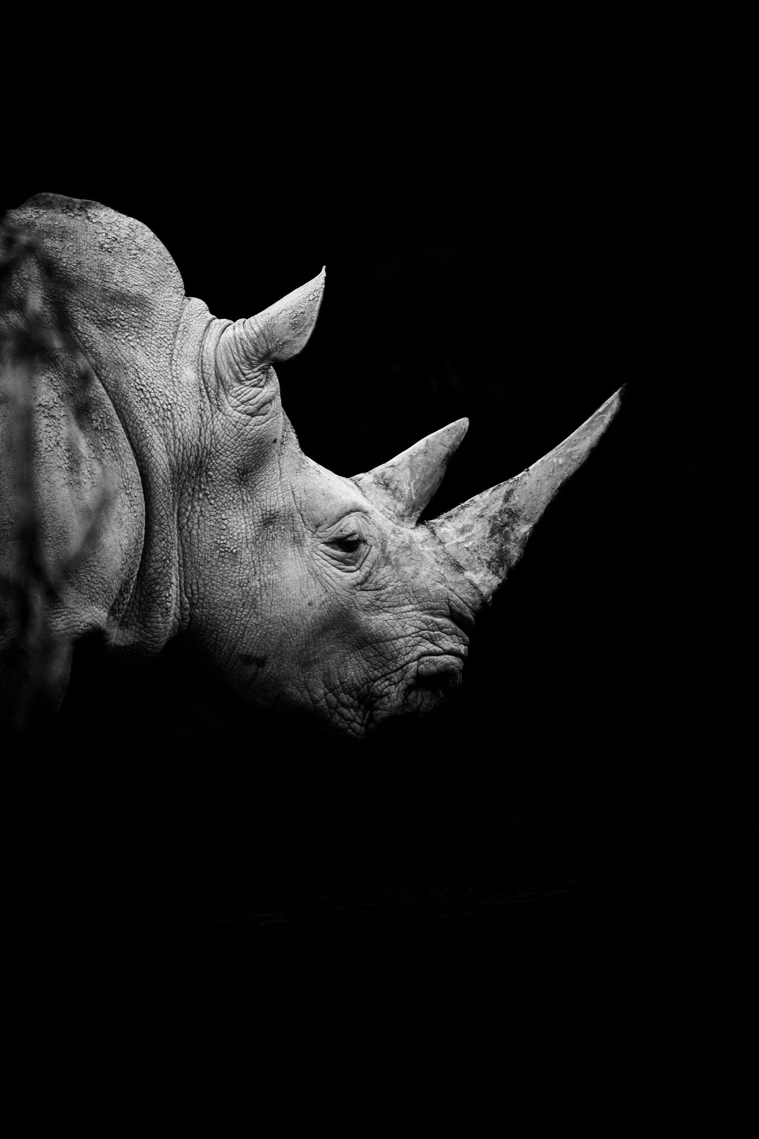 expo photo060520240001-2.jpg