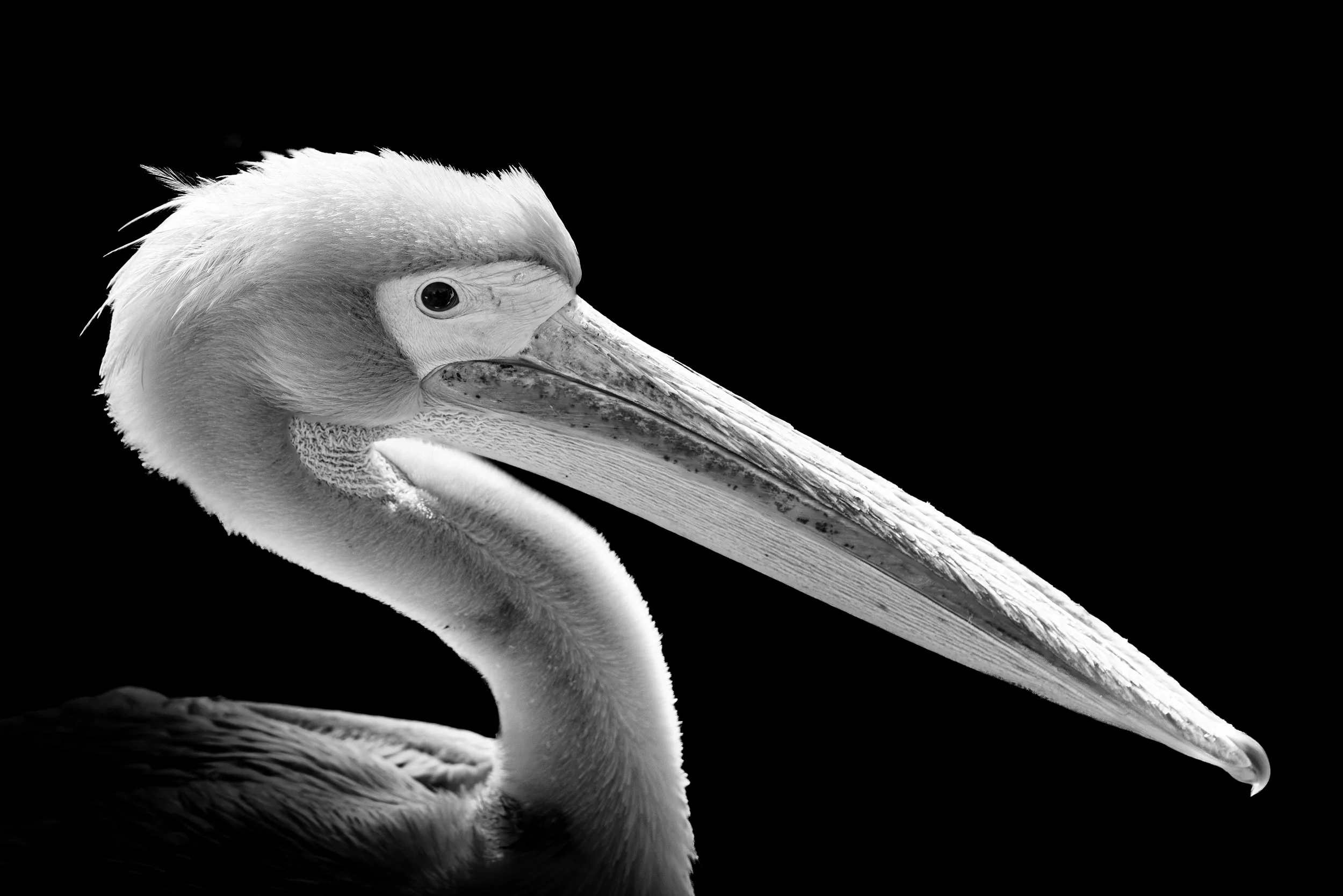 expo photo110320250001.jpg