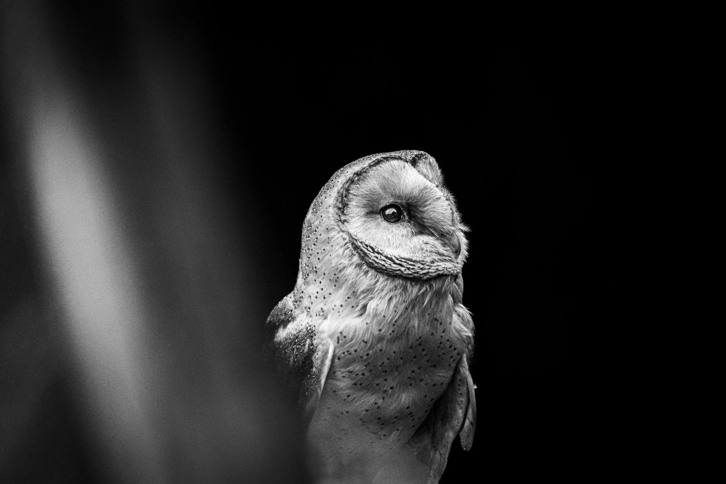 expo photo160720240007.jpg