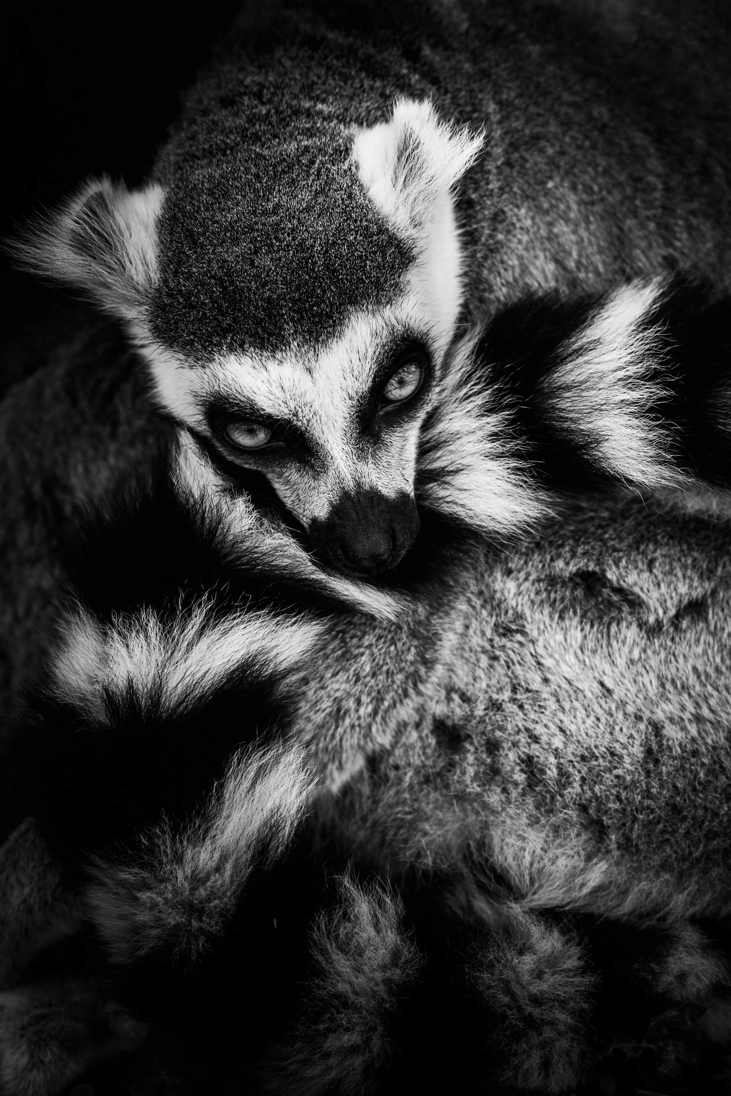 expo photo220820250005.jpg