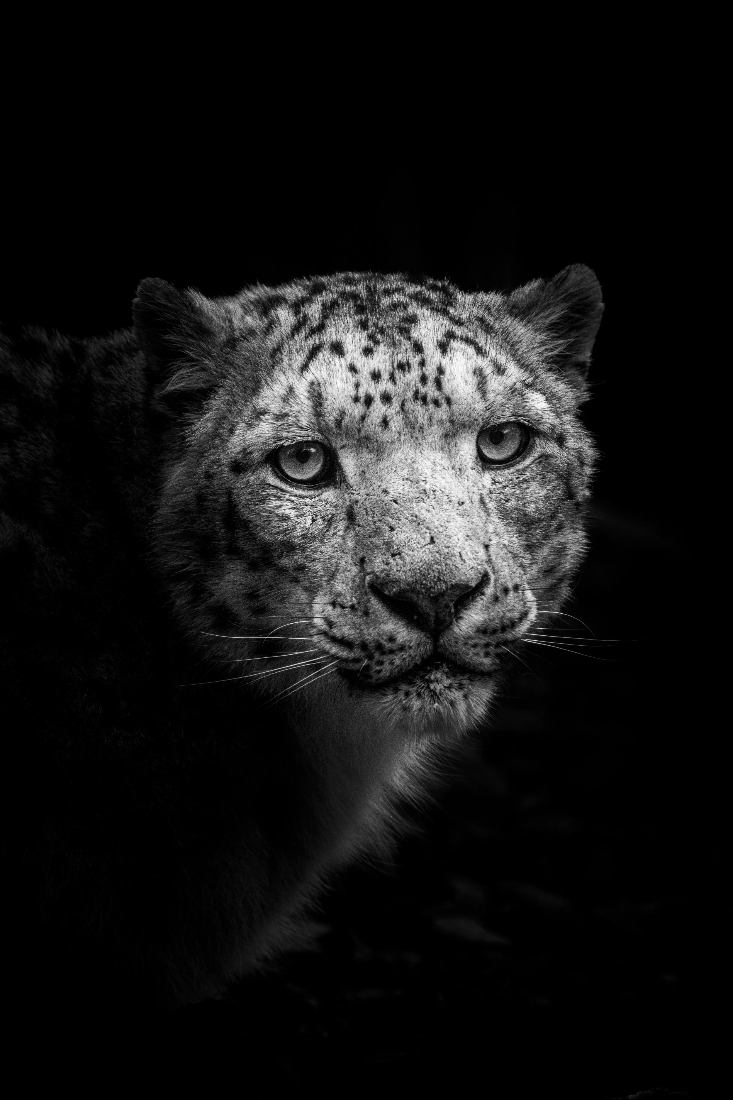 expo photo060520240002.jpg