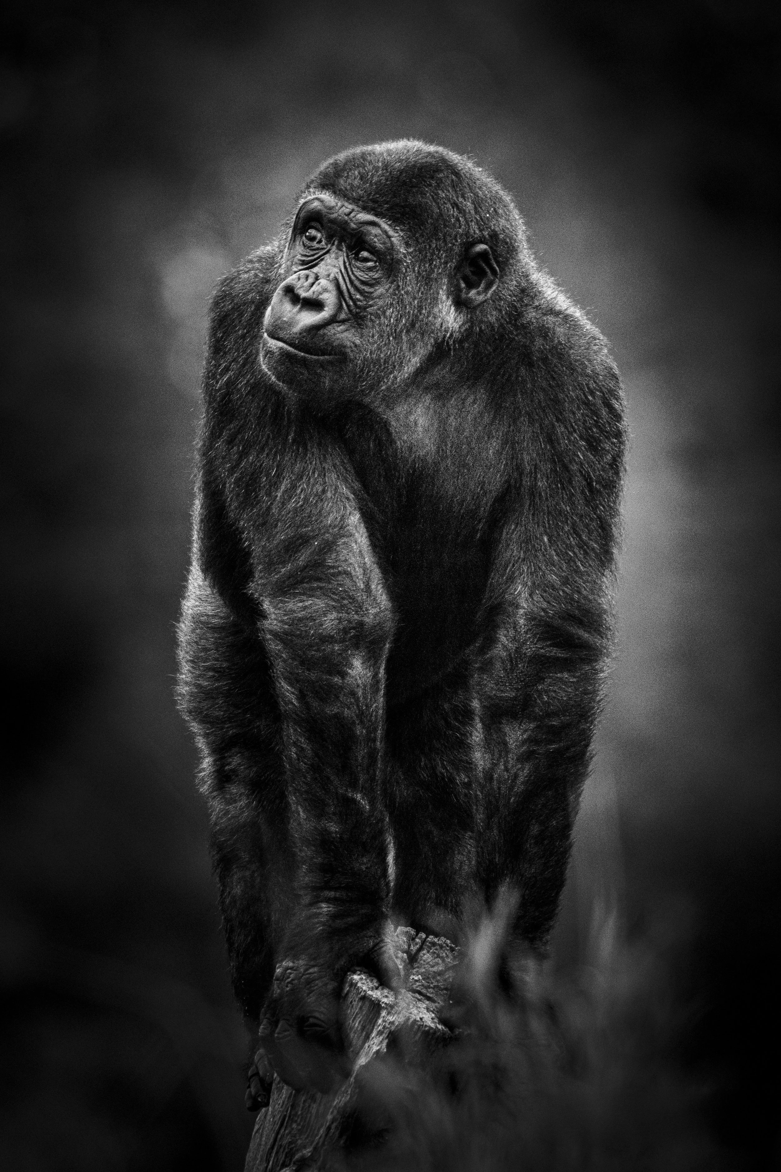 expo photo060520240003.jpg