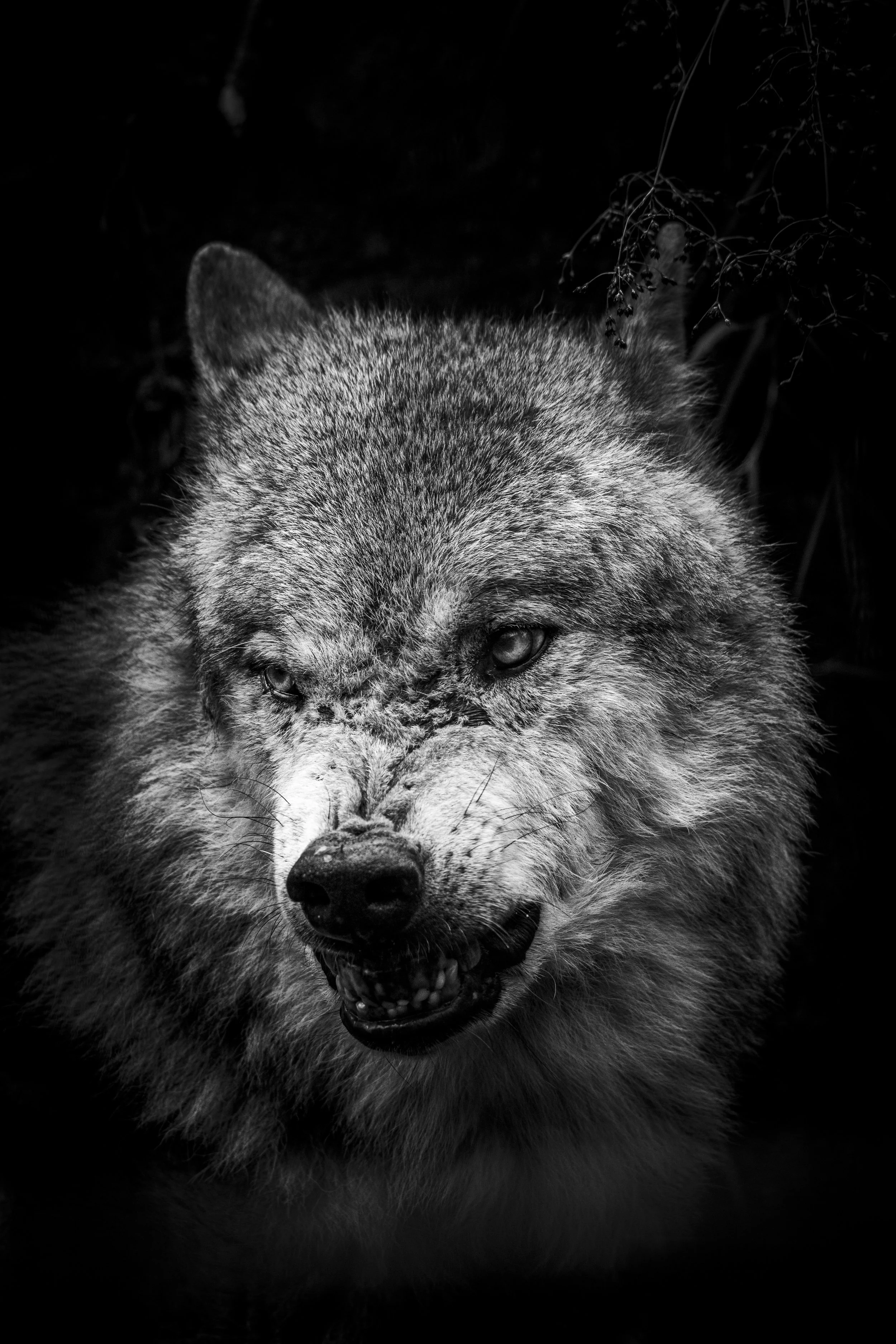 expo photo060520240001.jpg