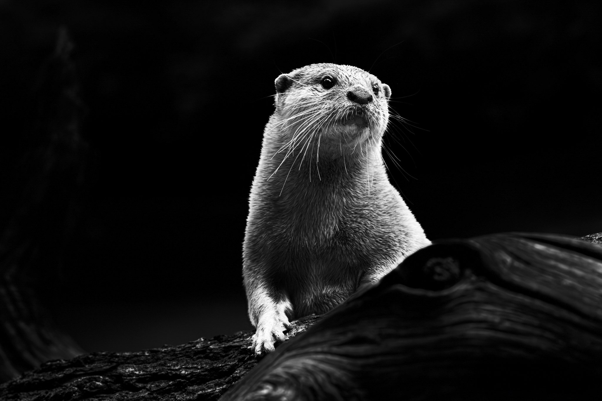 expo photo050520250015.jpg