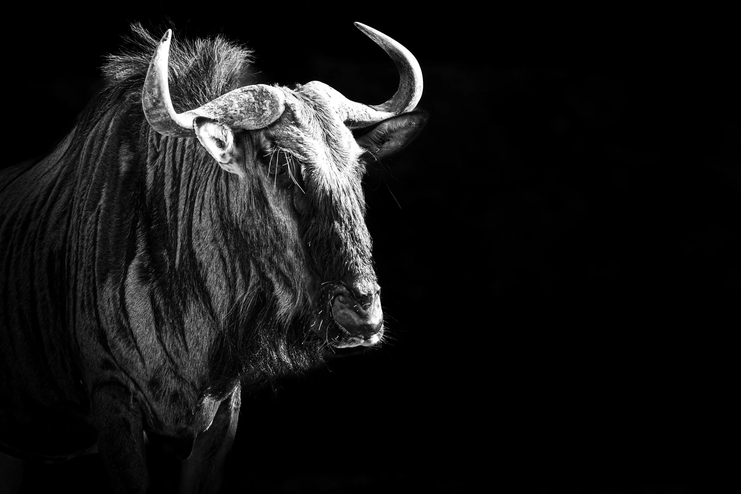 expo photo220820250003.jpg