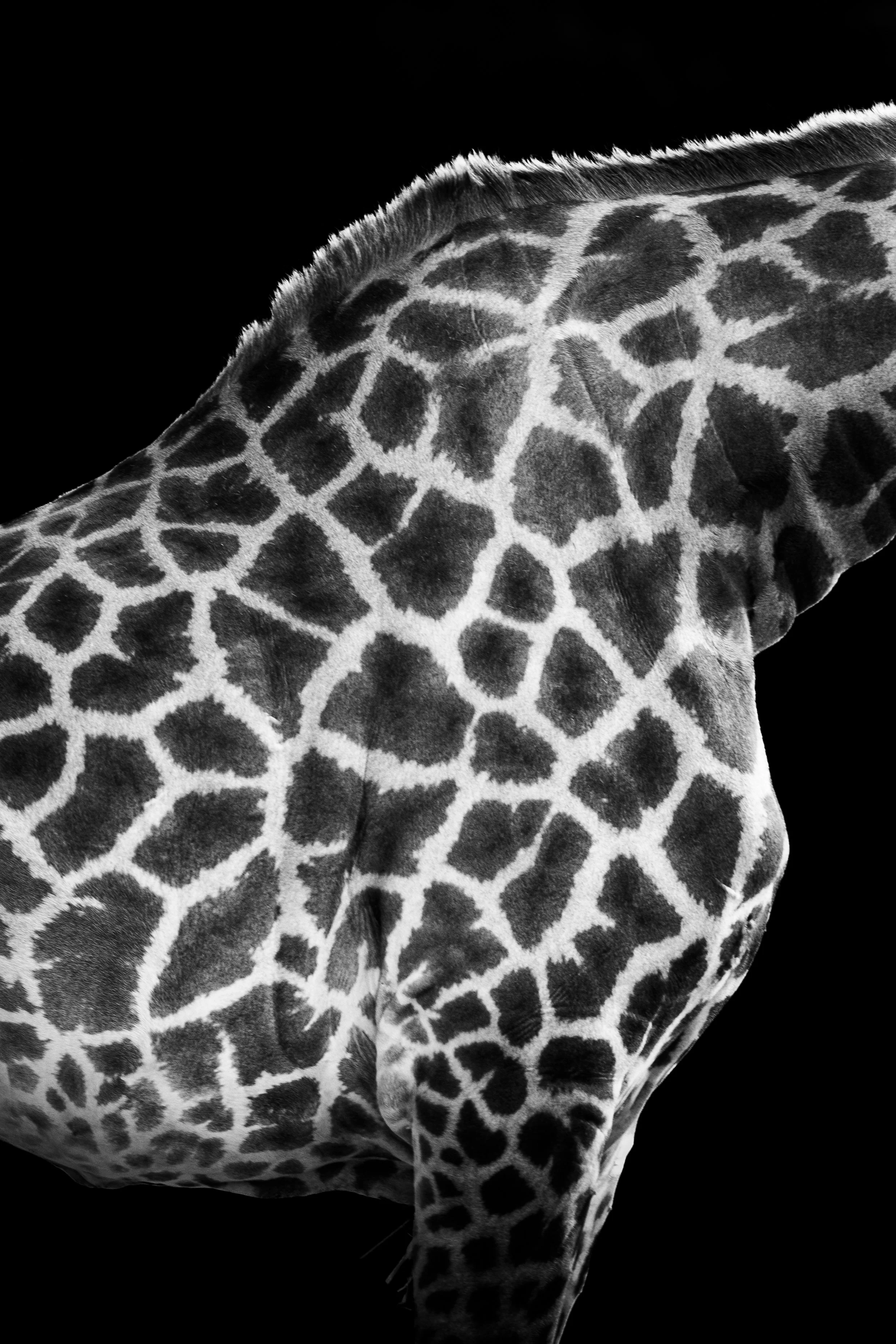 expo photo220820250001.jpg