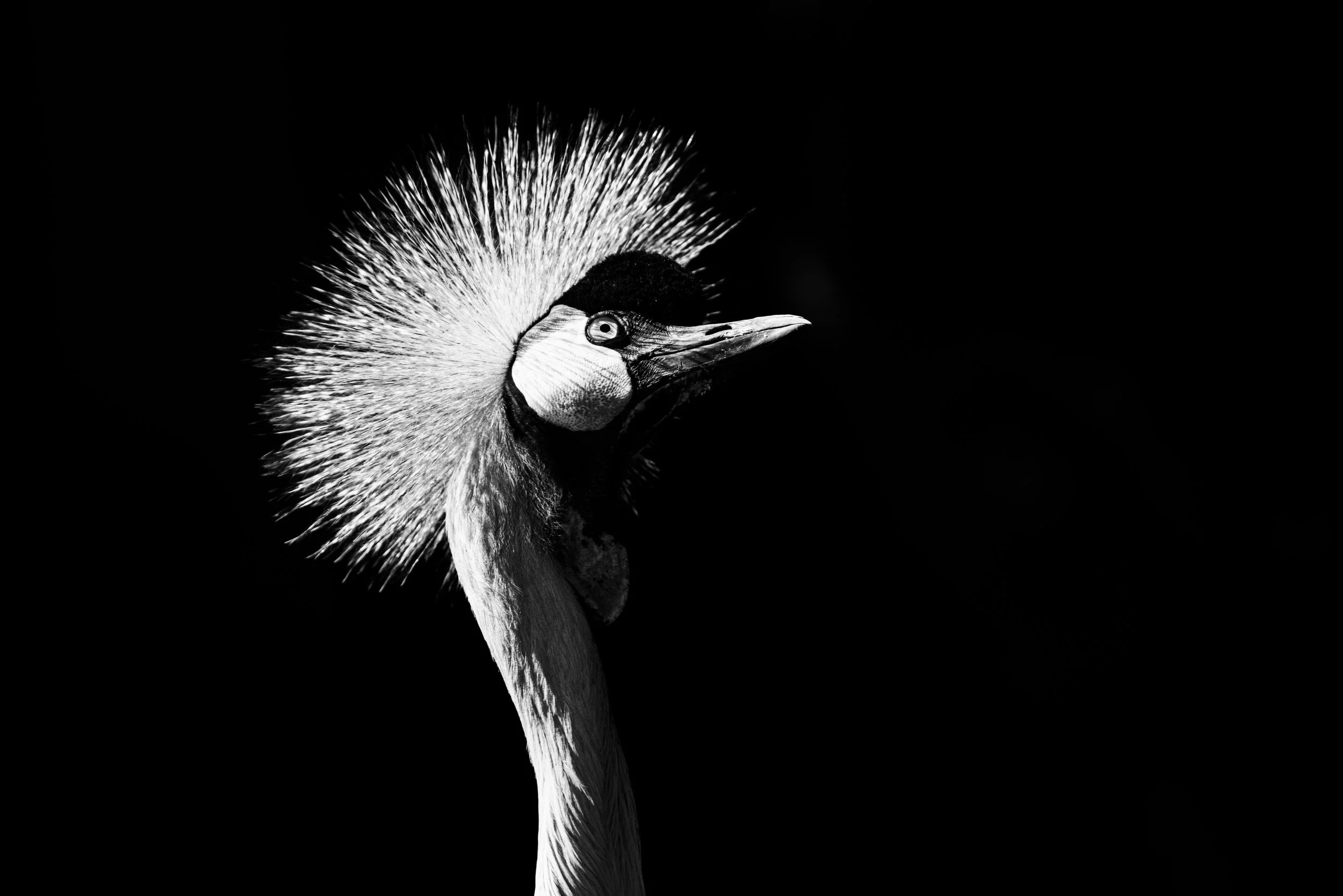 expo photo220820250009.jpg