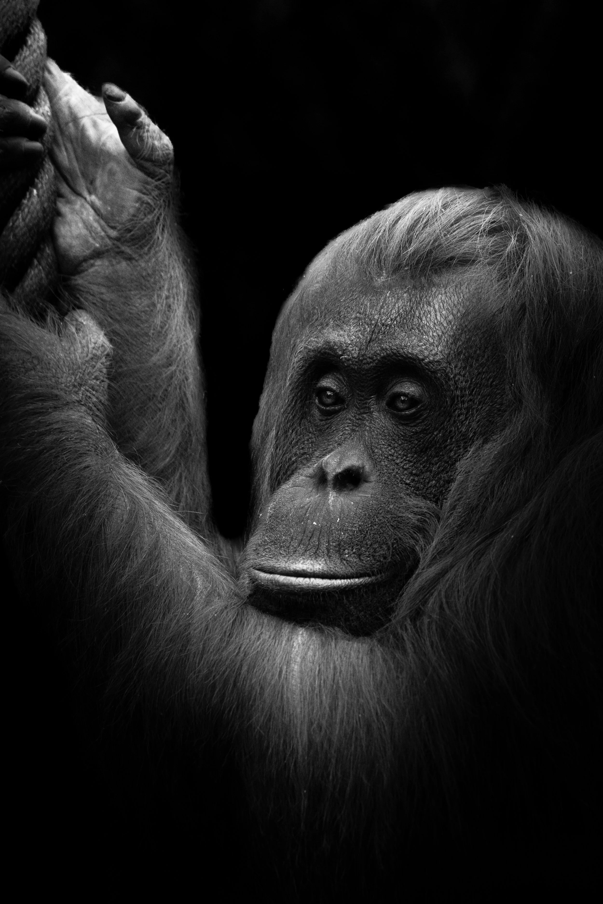 expo photo241120240001.jpg