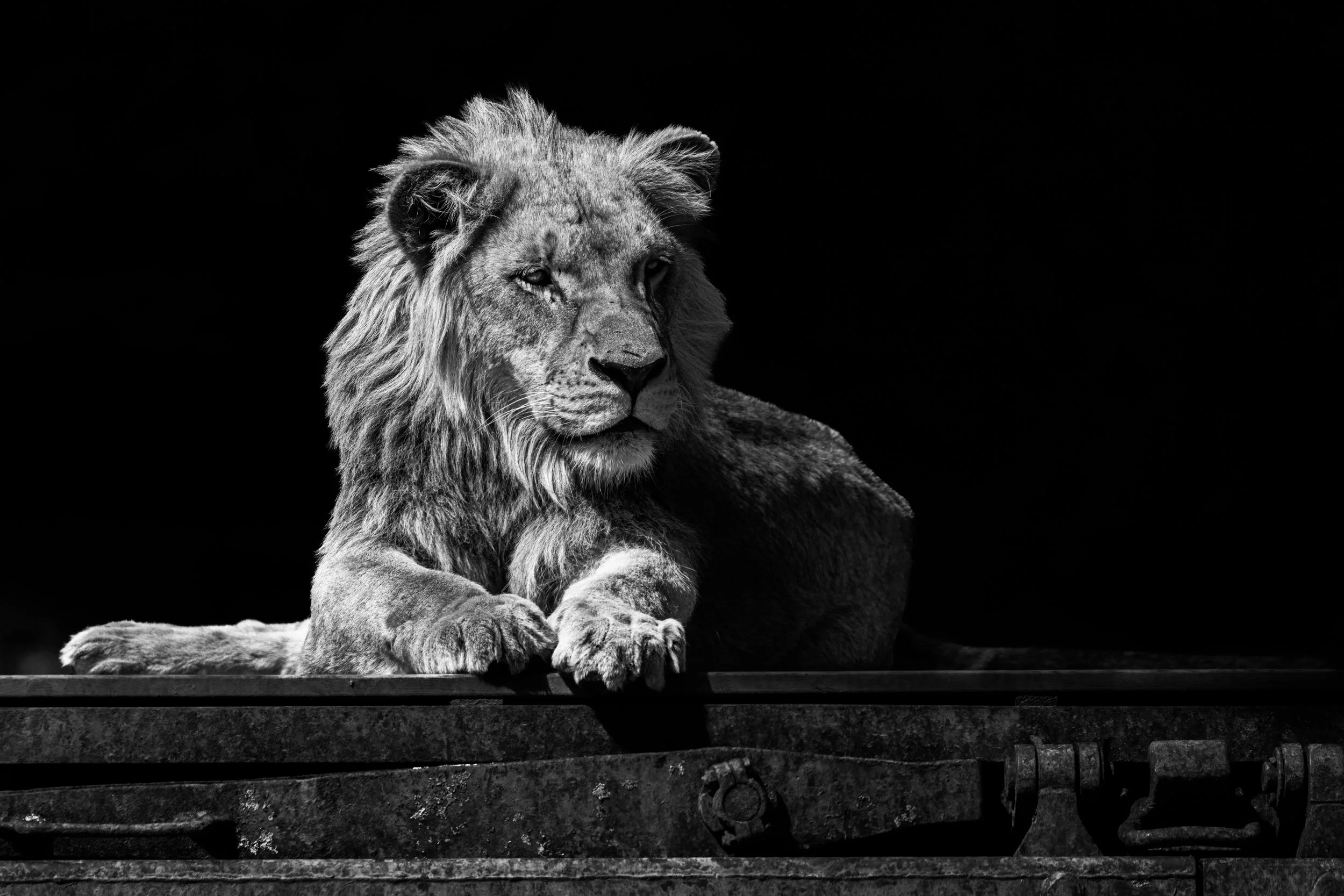 expo photo120420240001.jpg