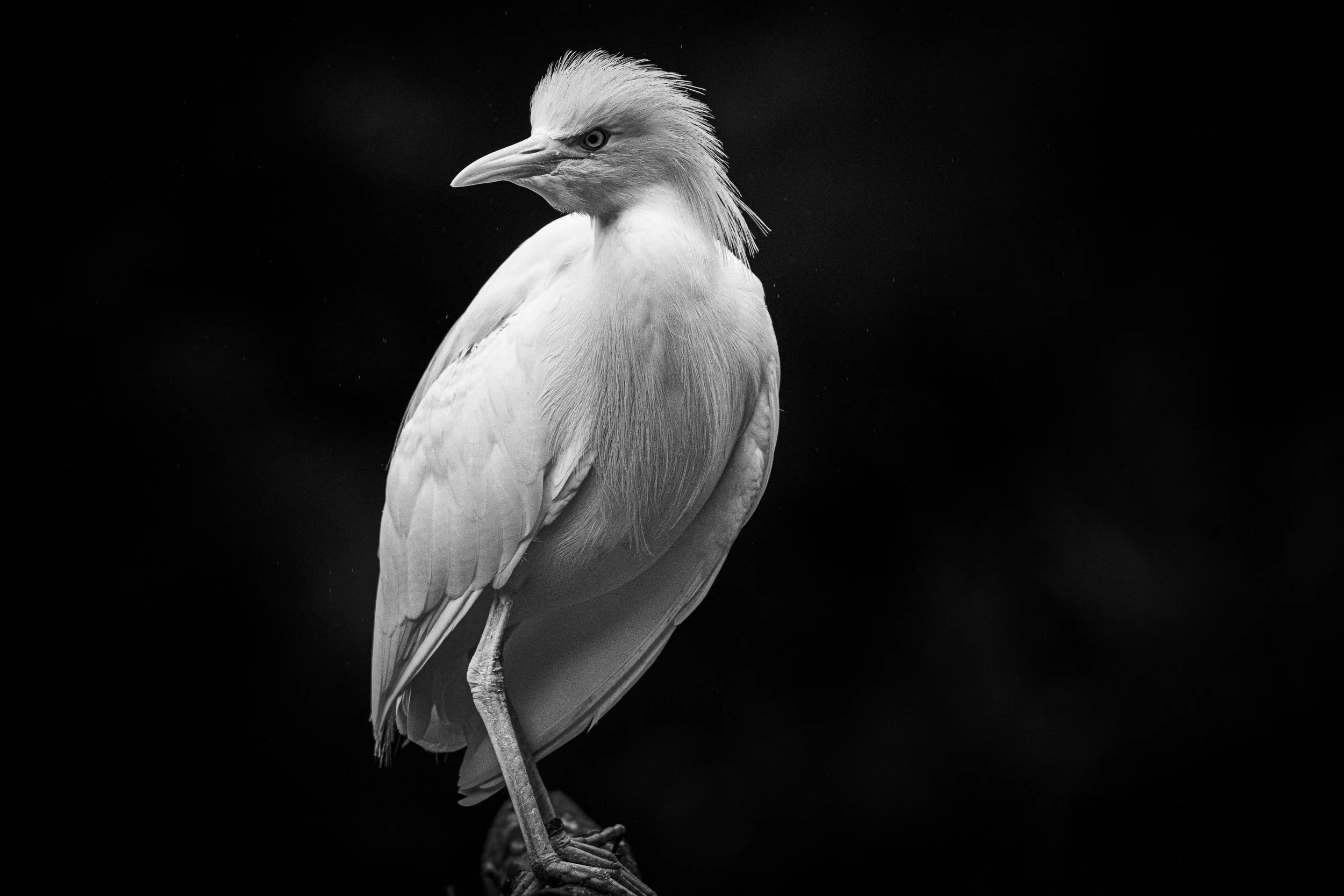 expo photo260720240009.jpg