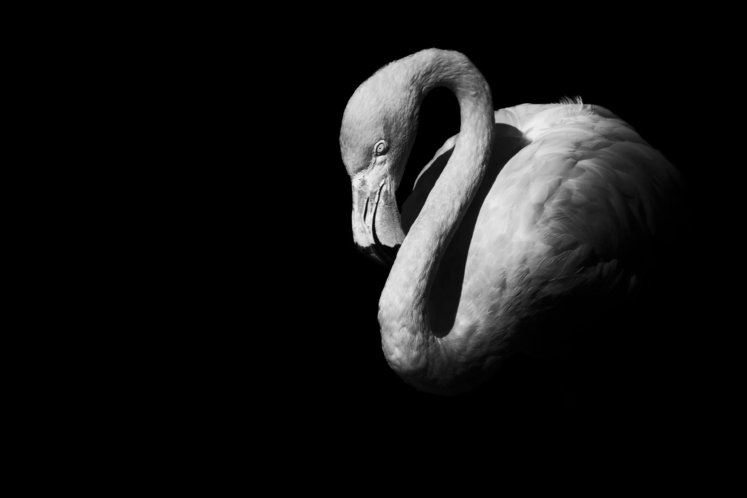 expo photo260720240013.jpg