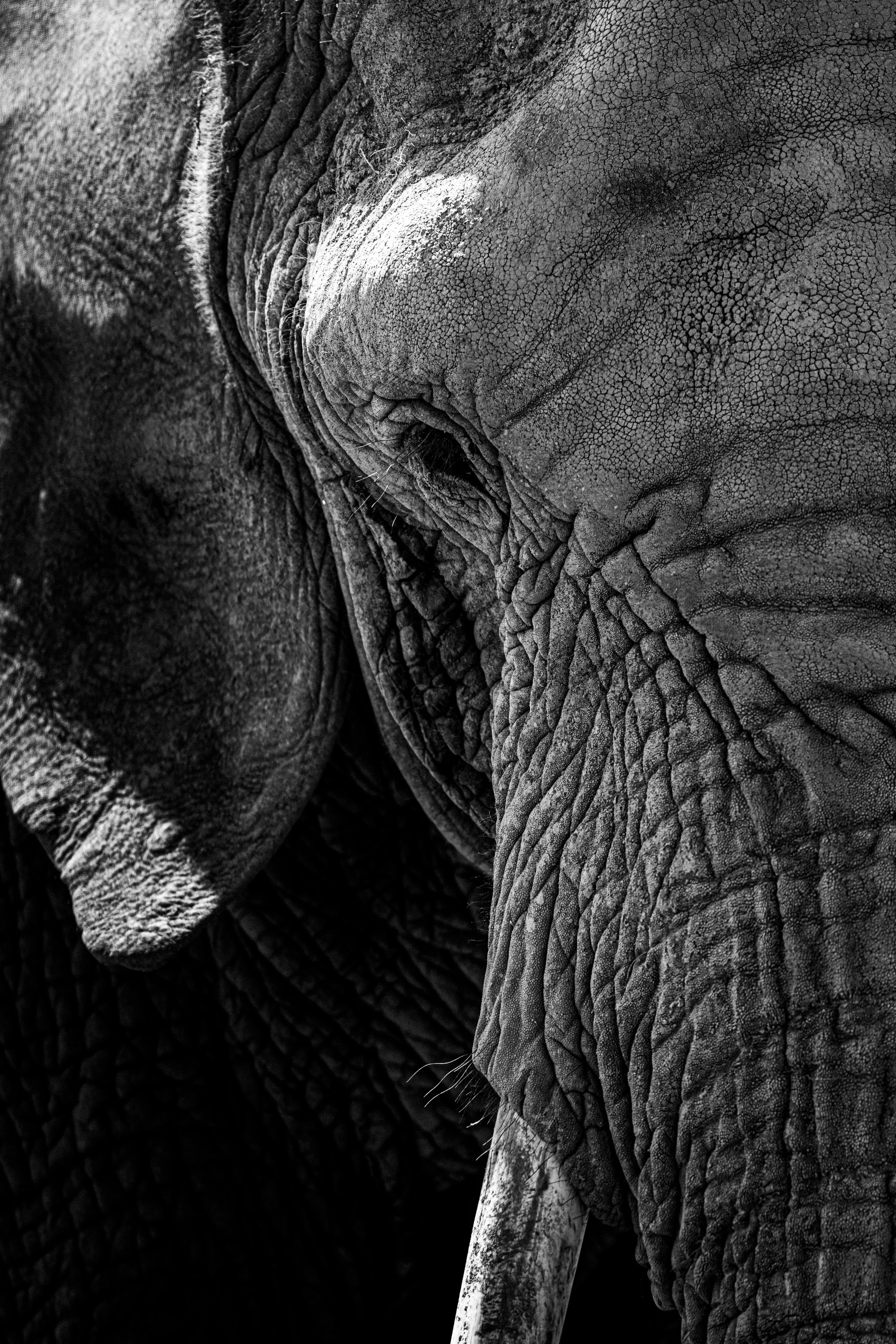 expo photo220820250011.jpg