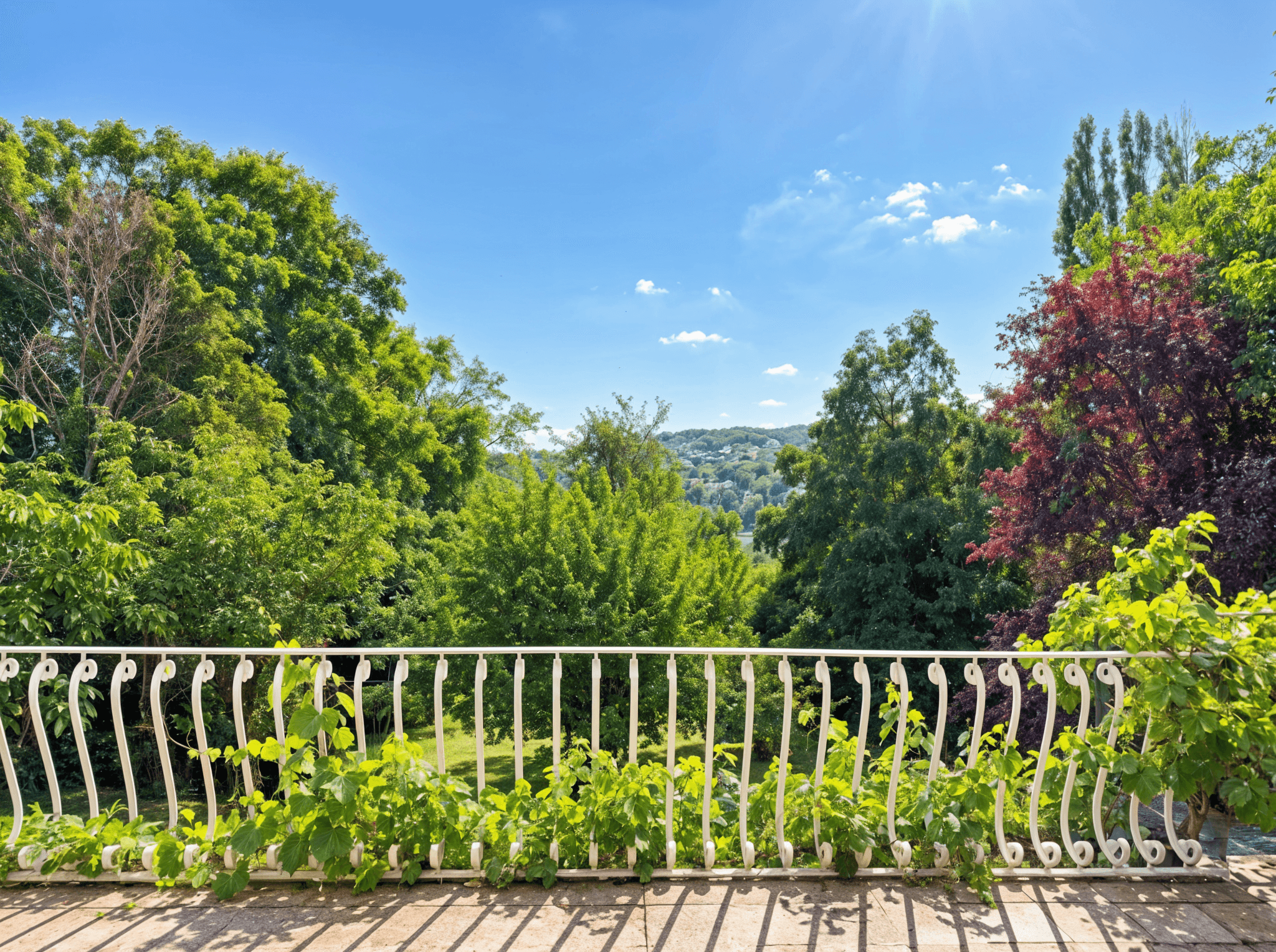 Aussicht Terrasse.png