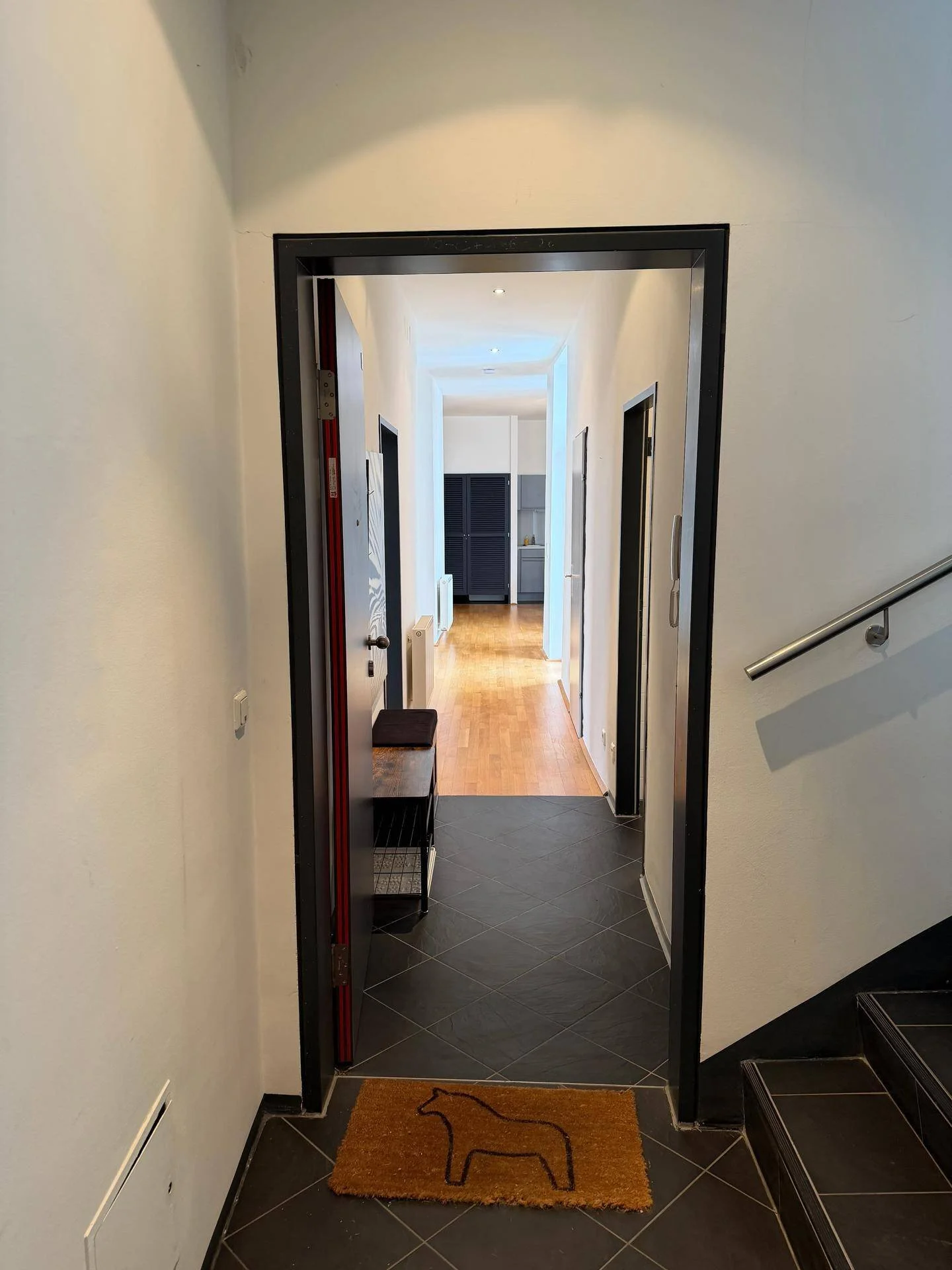 Wohnungseingangstüre