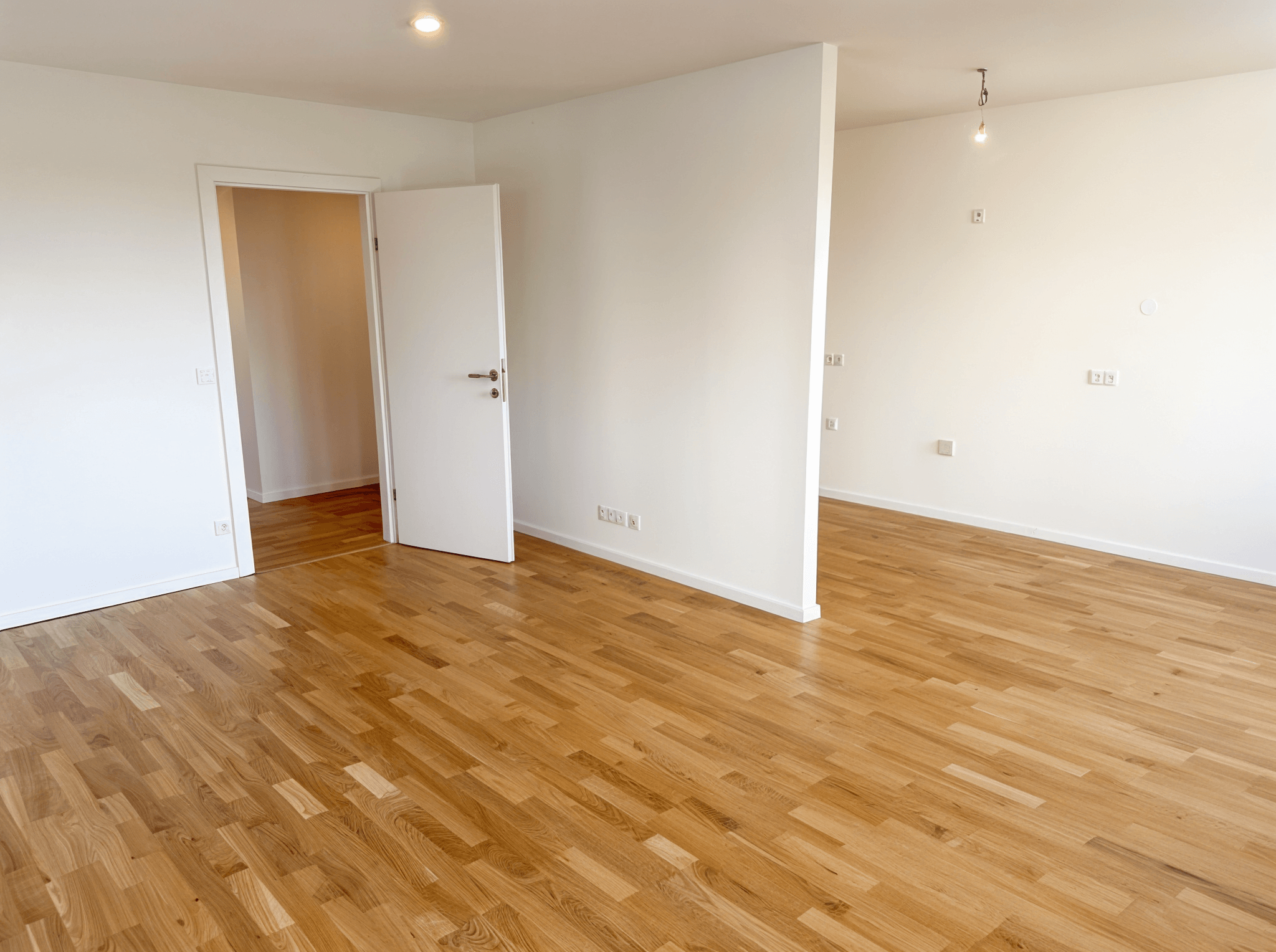 Ansicht Wohnzimmer und Kuche.png