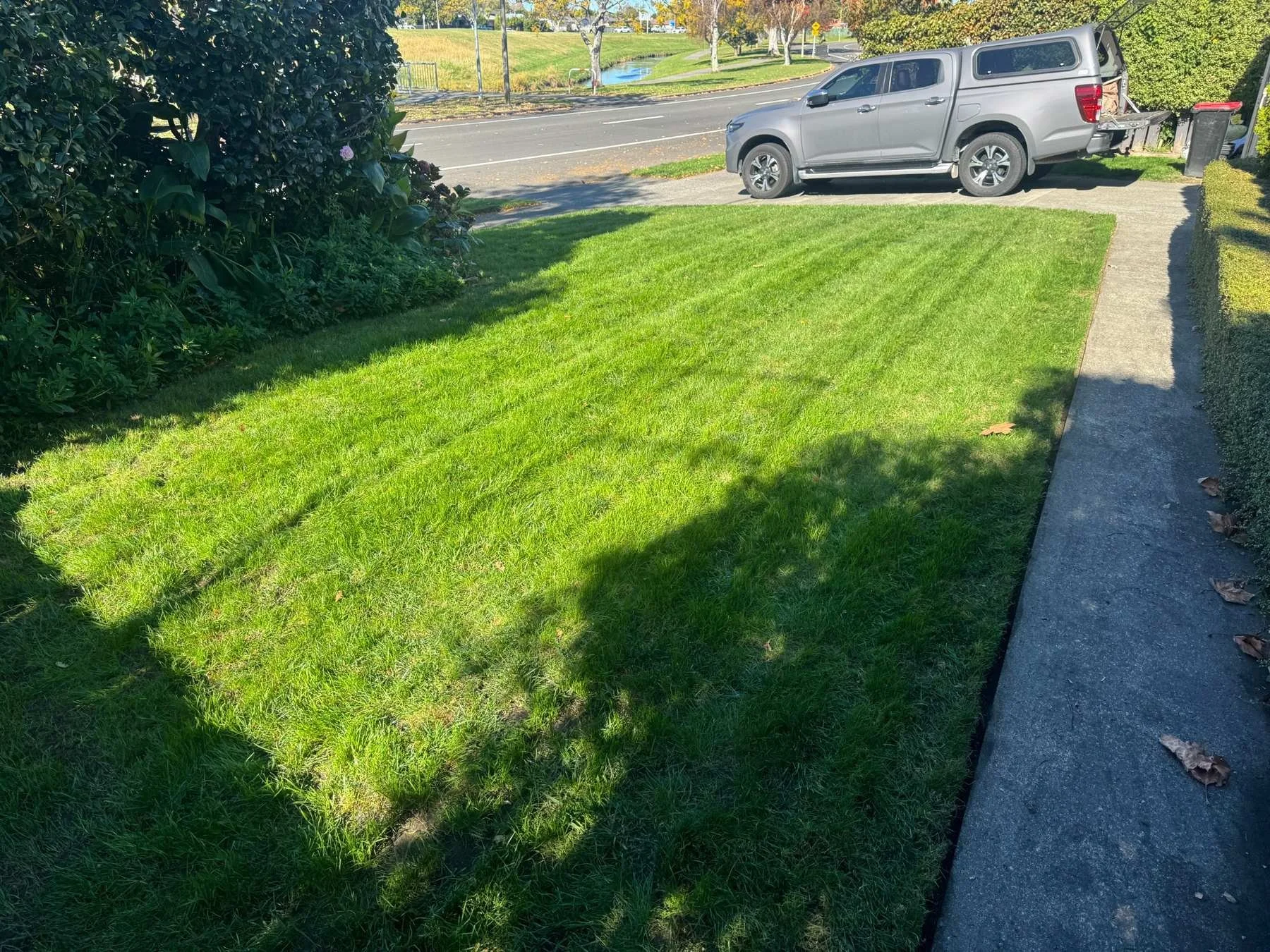 Lawn Reset completed by EC Lawn Care in Greenmeadows, Napier showing a healthy striped lawn after scarifying and lawn restoration.