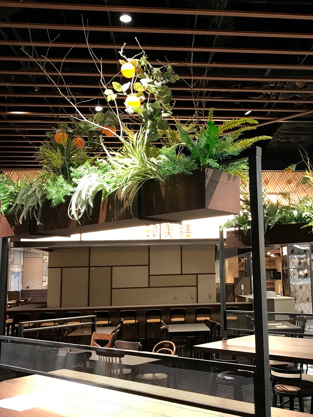 フードコート植栽