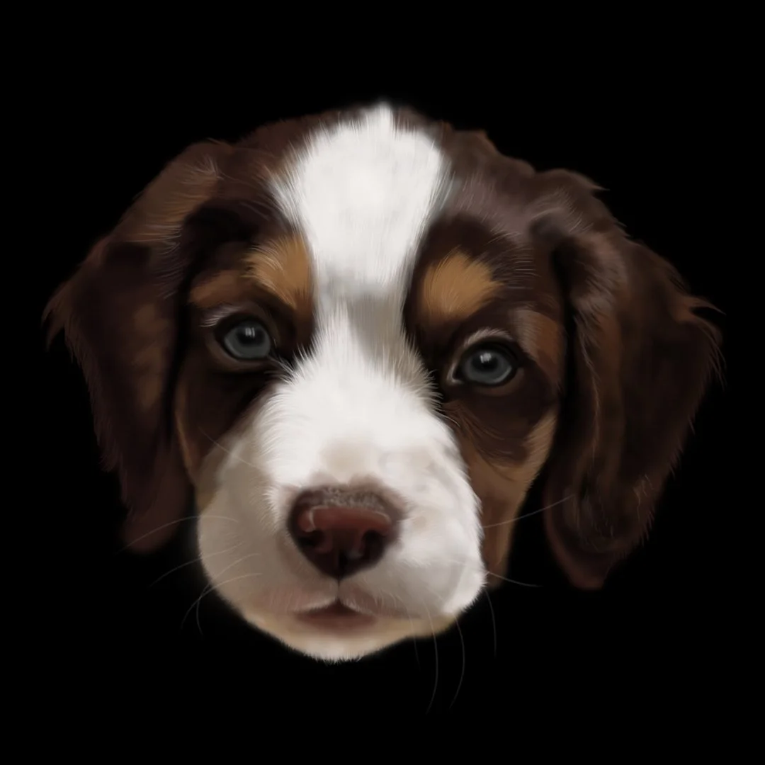 ralph1.jpg
