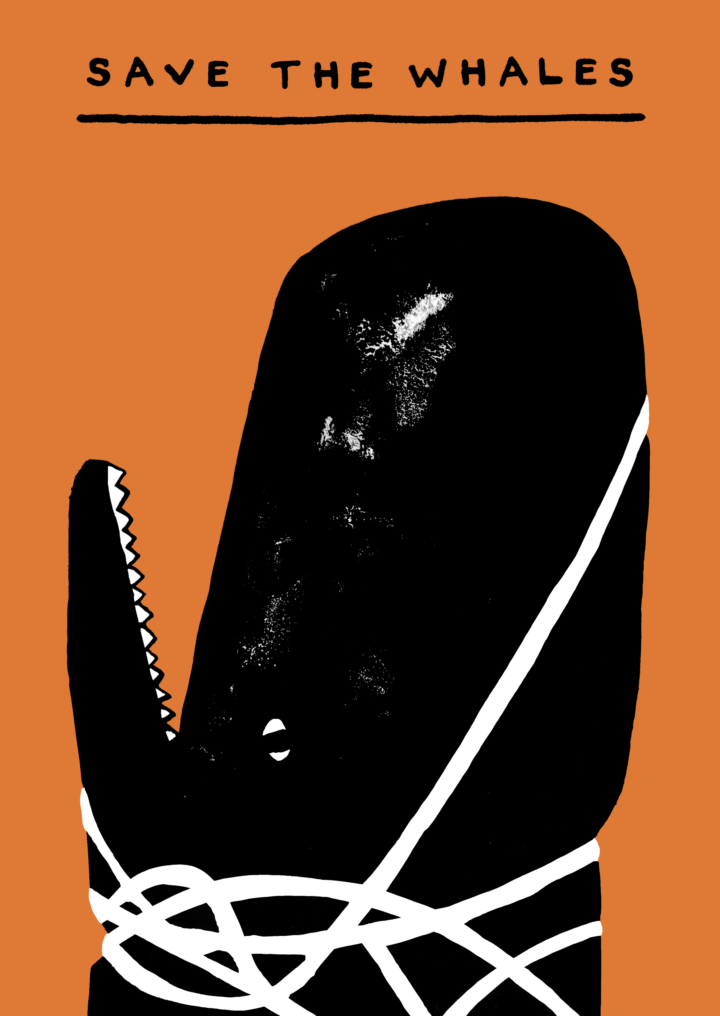 Save The Whales - part of a series exploring marine conservation to raise awareness.
