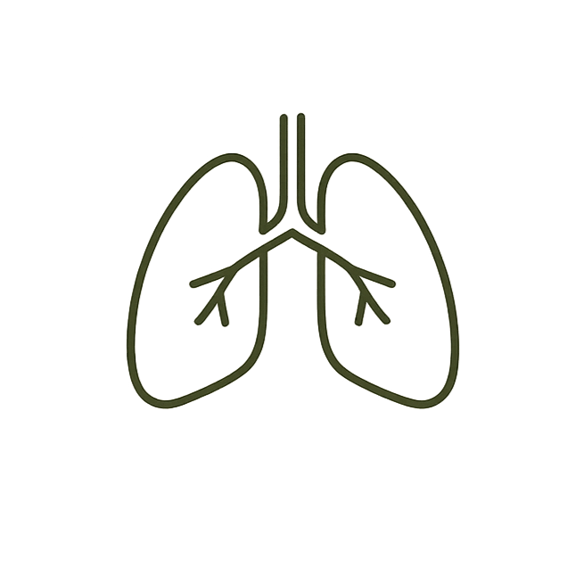 Guided breathwork sessions supporting calm, nervous system regulation and wellbeing.