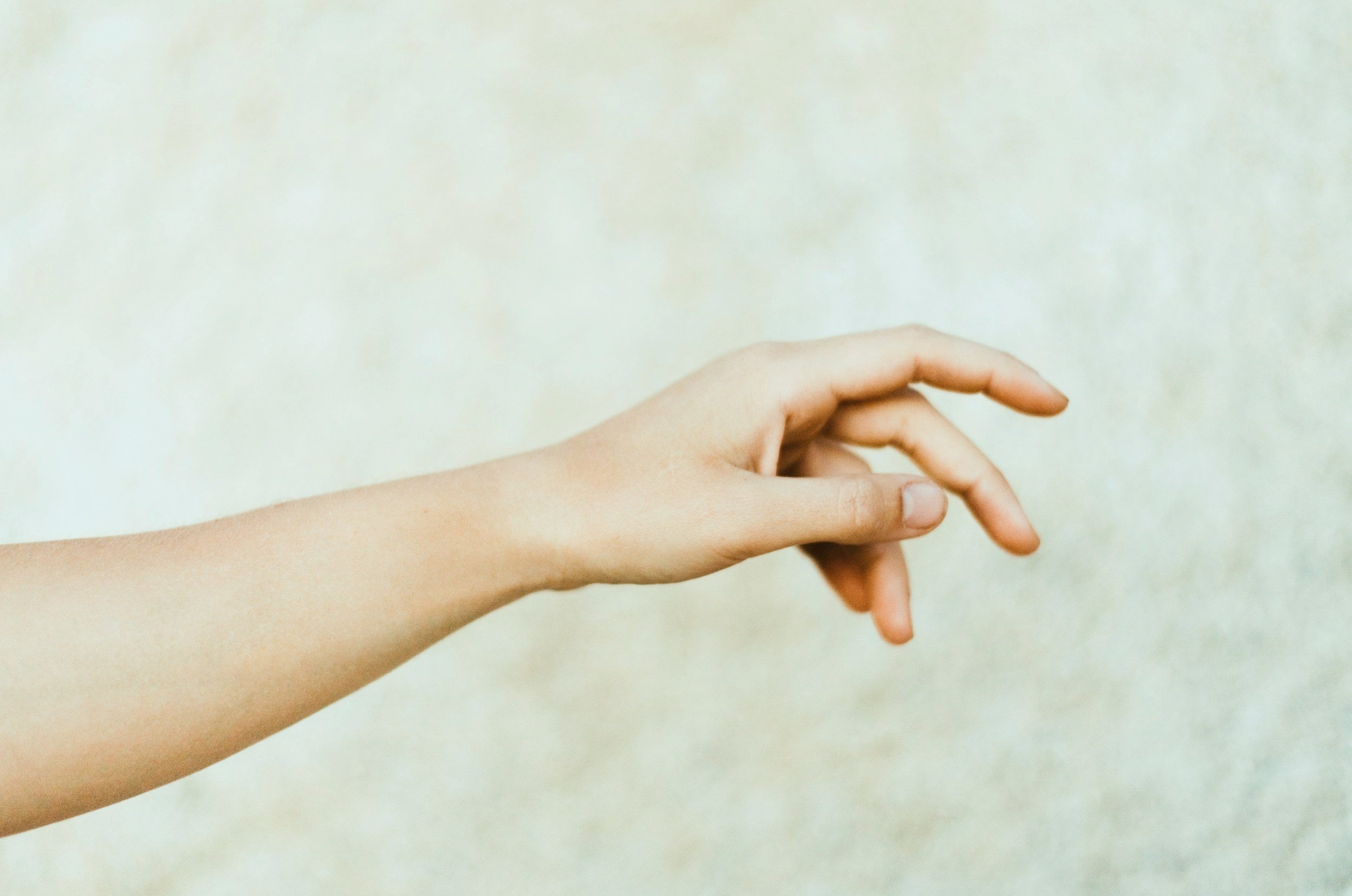 Helping a Fearful Puppy Feel Comfortable with Human Touch