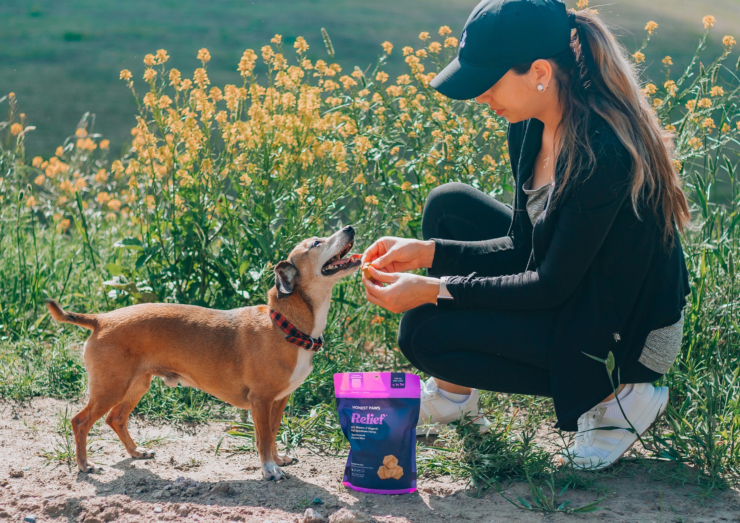 Meet & Greet Best Practices: Setting Your Foster Puppy Up for Success