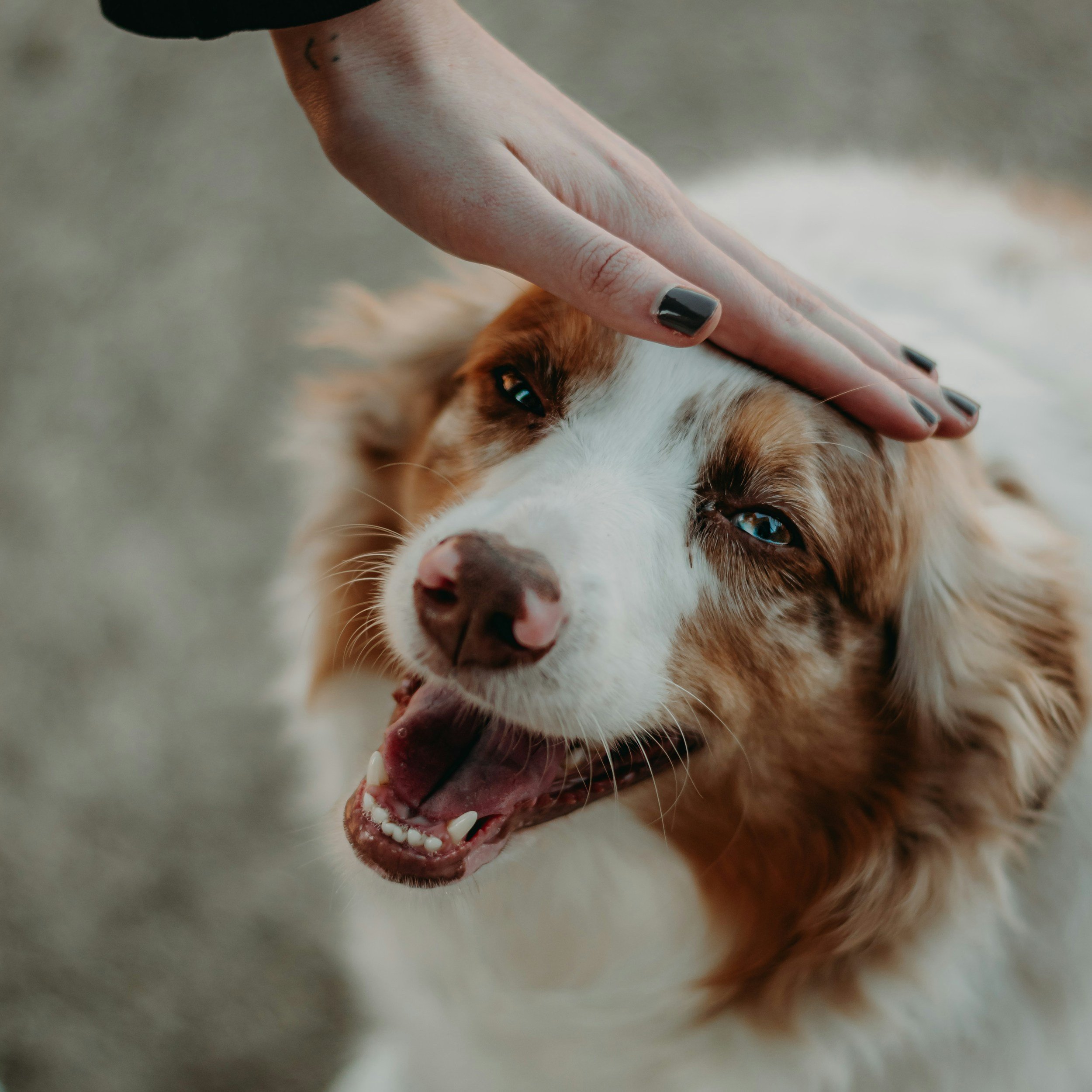 Yes, You’re Doing Enough: Encouragement for Foster Parents