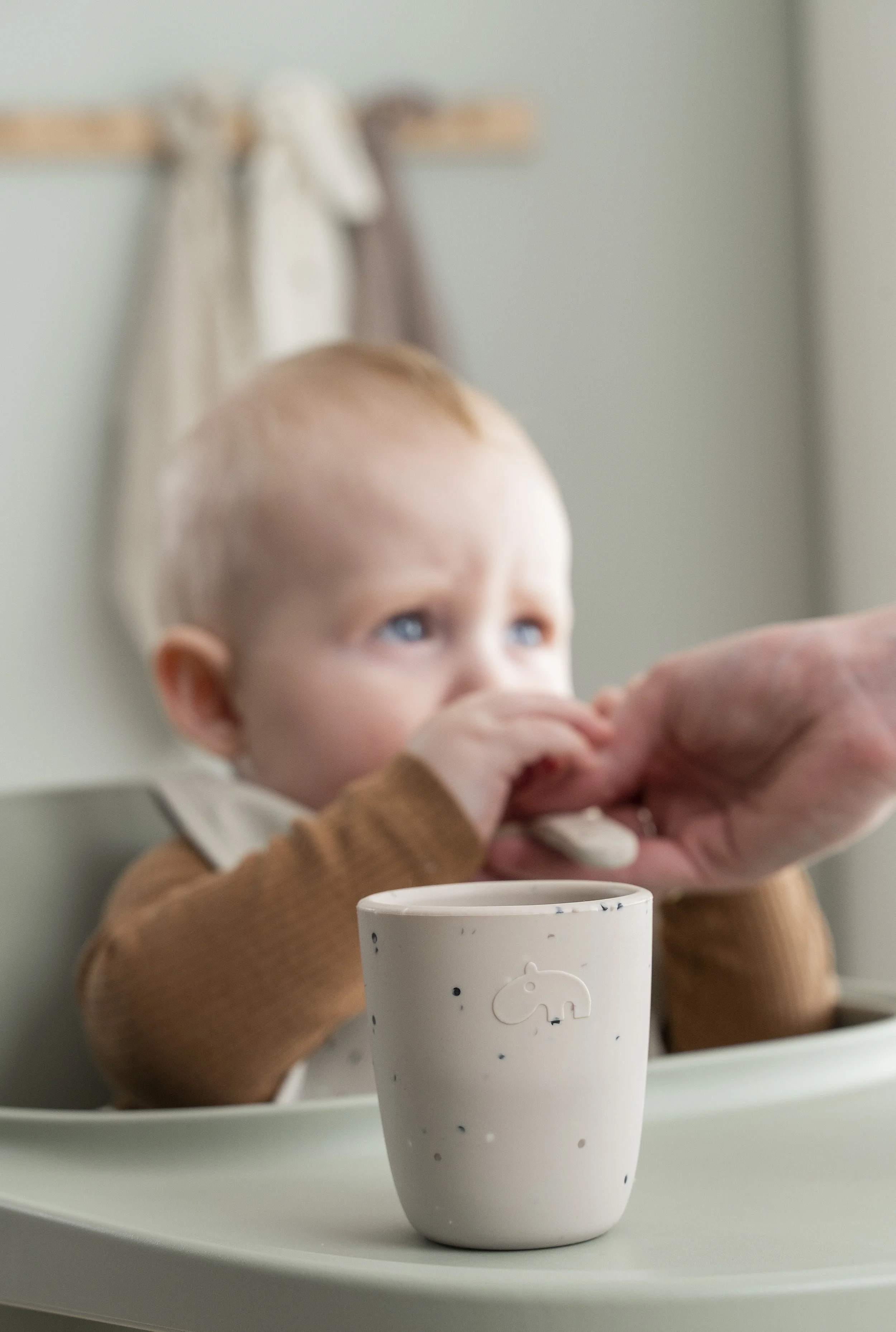 First-meal-set-birdee_3943.jpg
