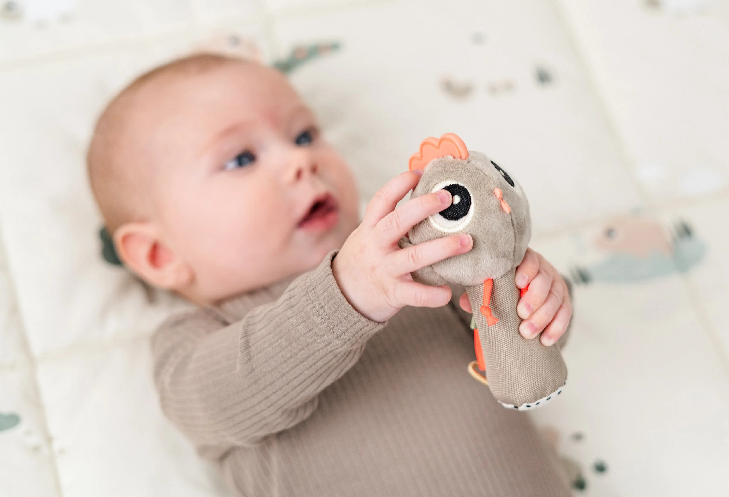 sensory-rattle-tinyfarm_00112_hrs.jpg