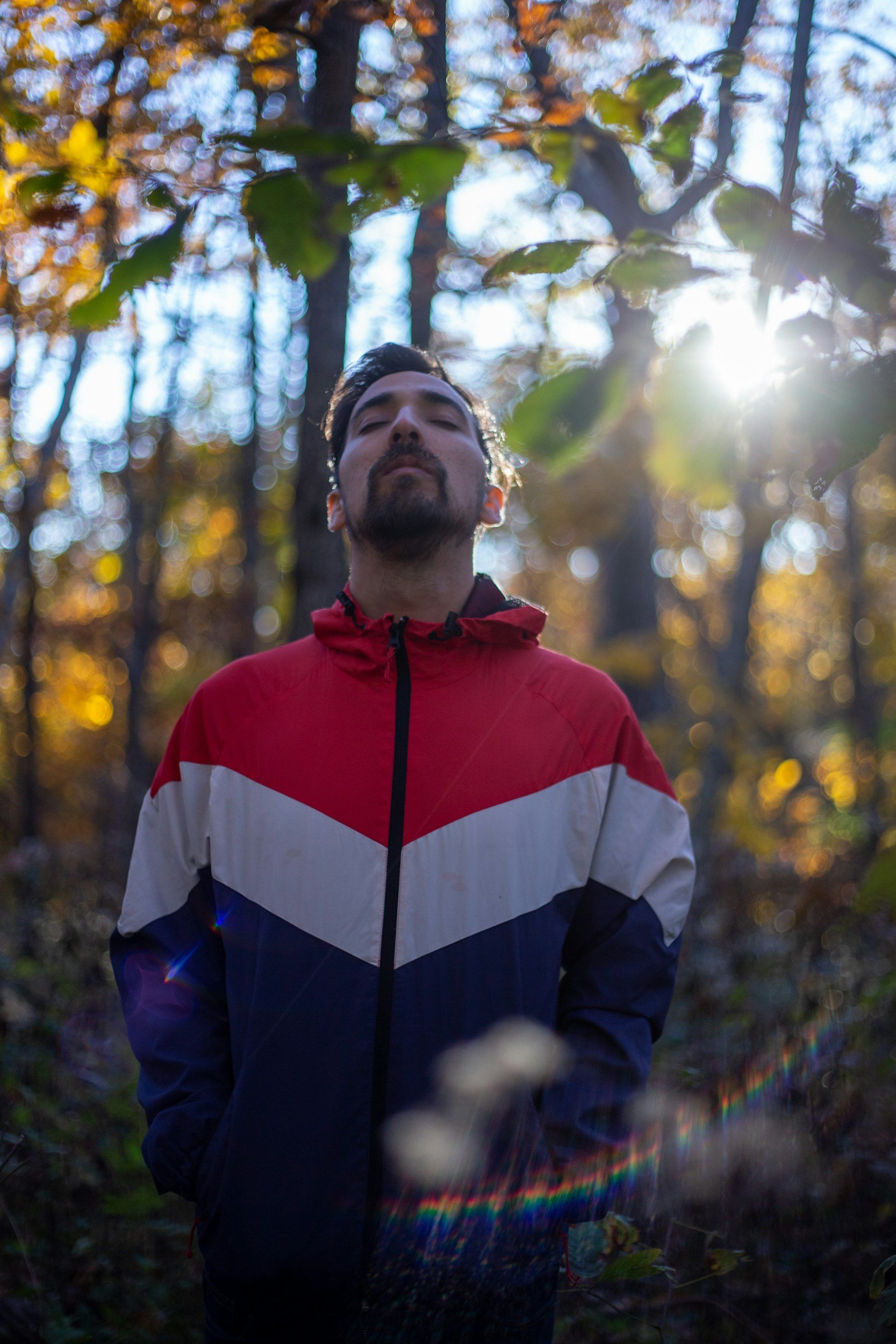 Ademen in het bos  |  Breathing in the forest