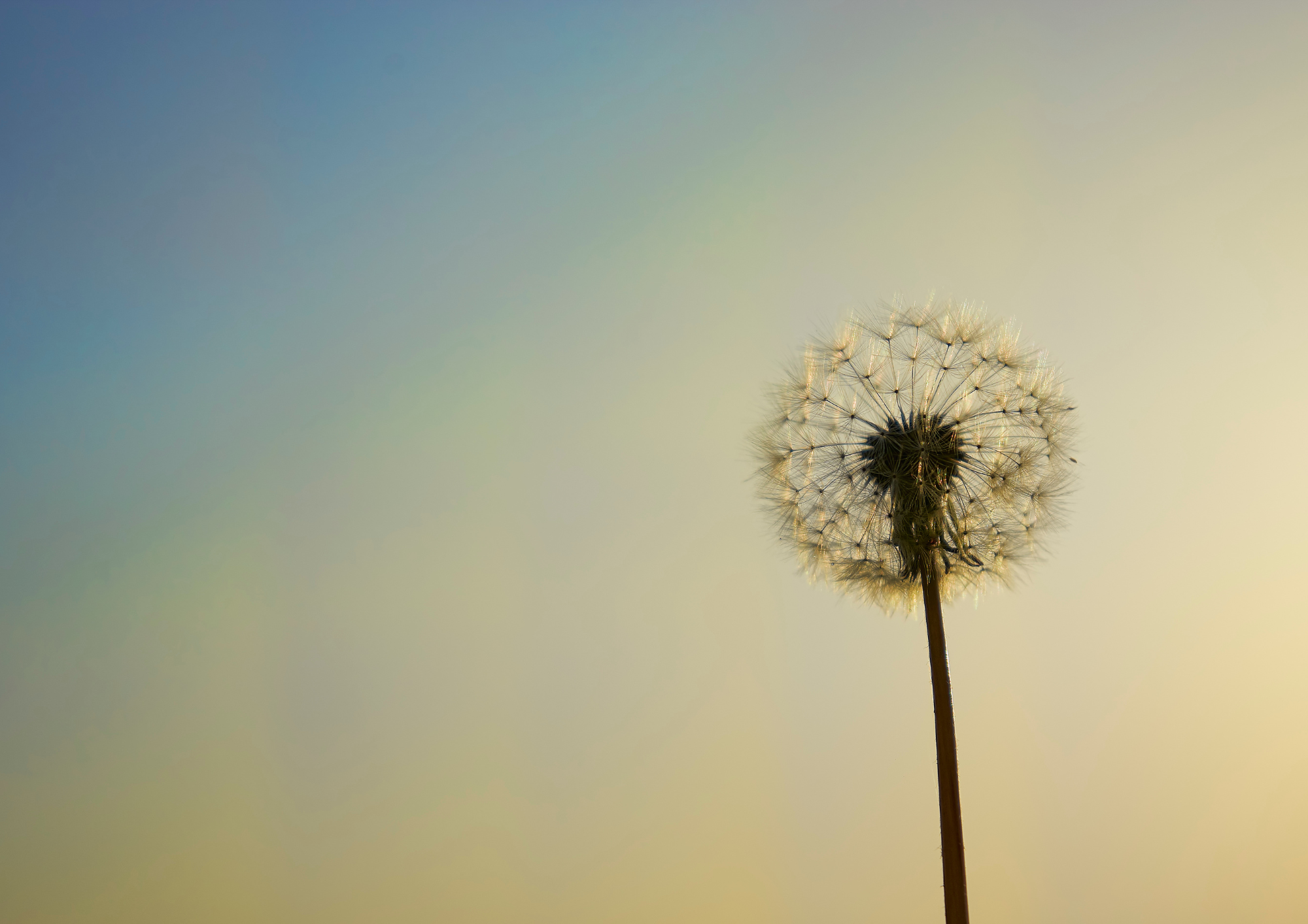 Ademoefeningen bij benauwdheidsklachten, ademtekort, spanning in nek, schouders en borstkas.