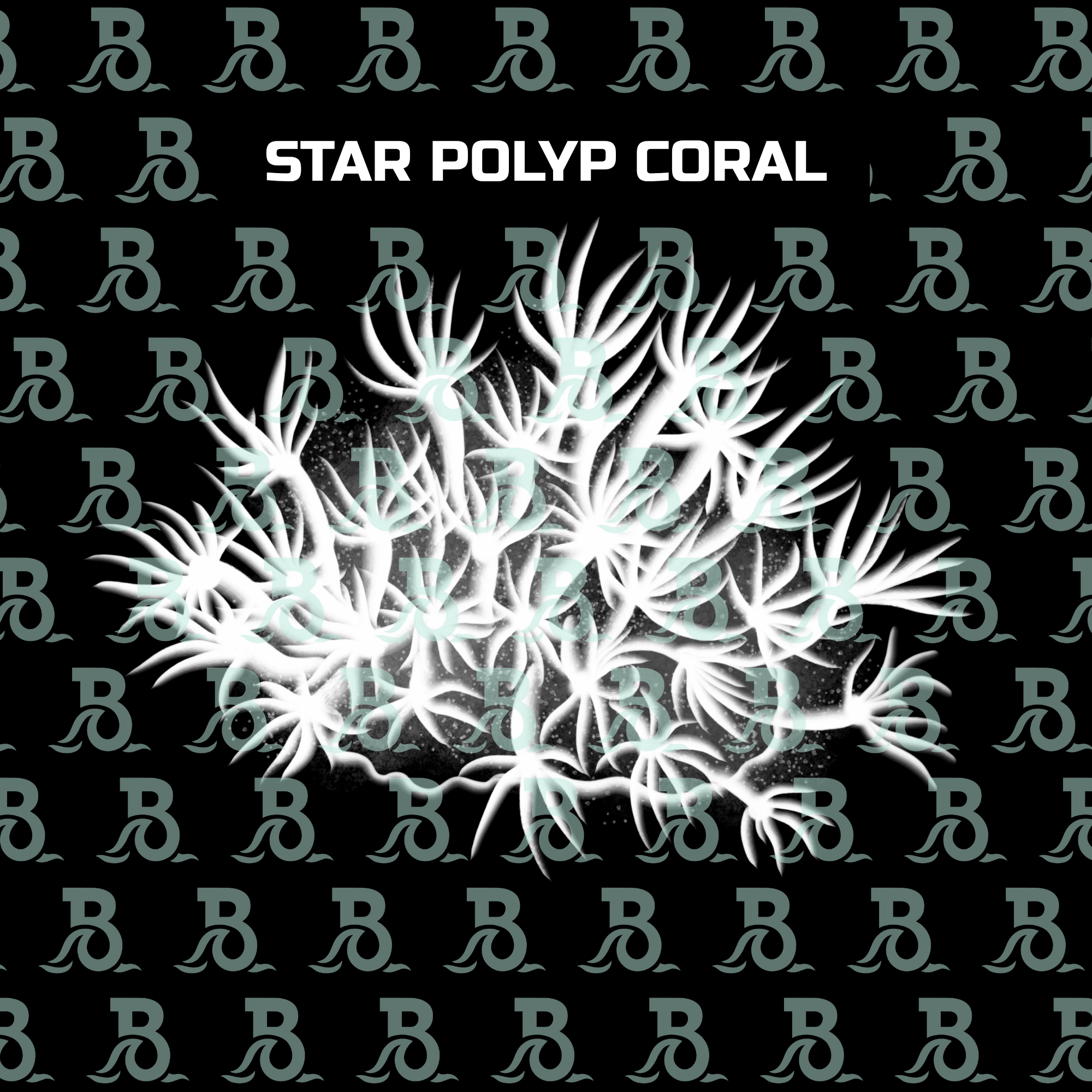 CORAL 2.png