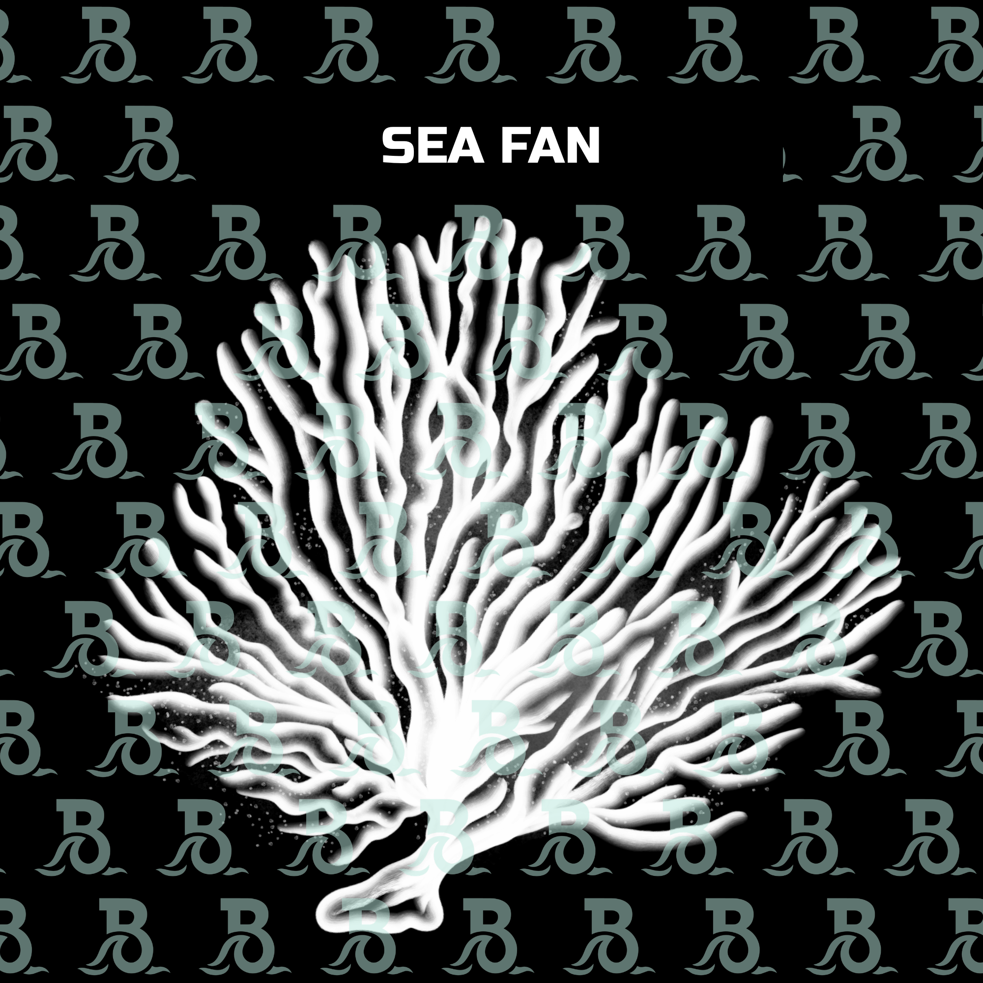 SEA FAN.png
