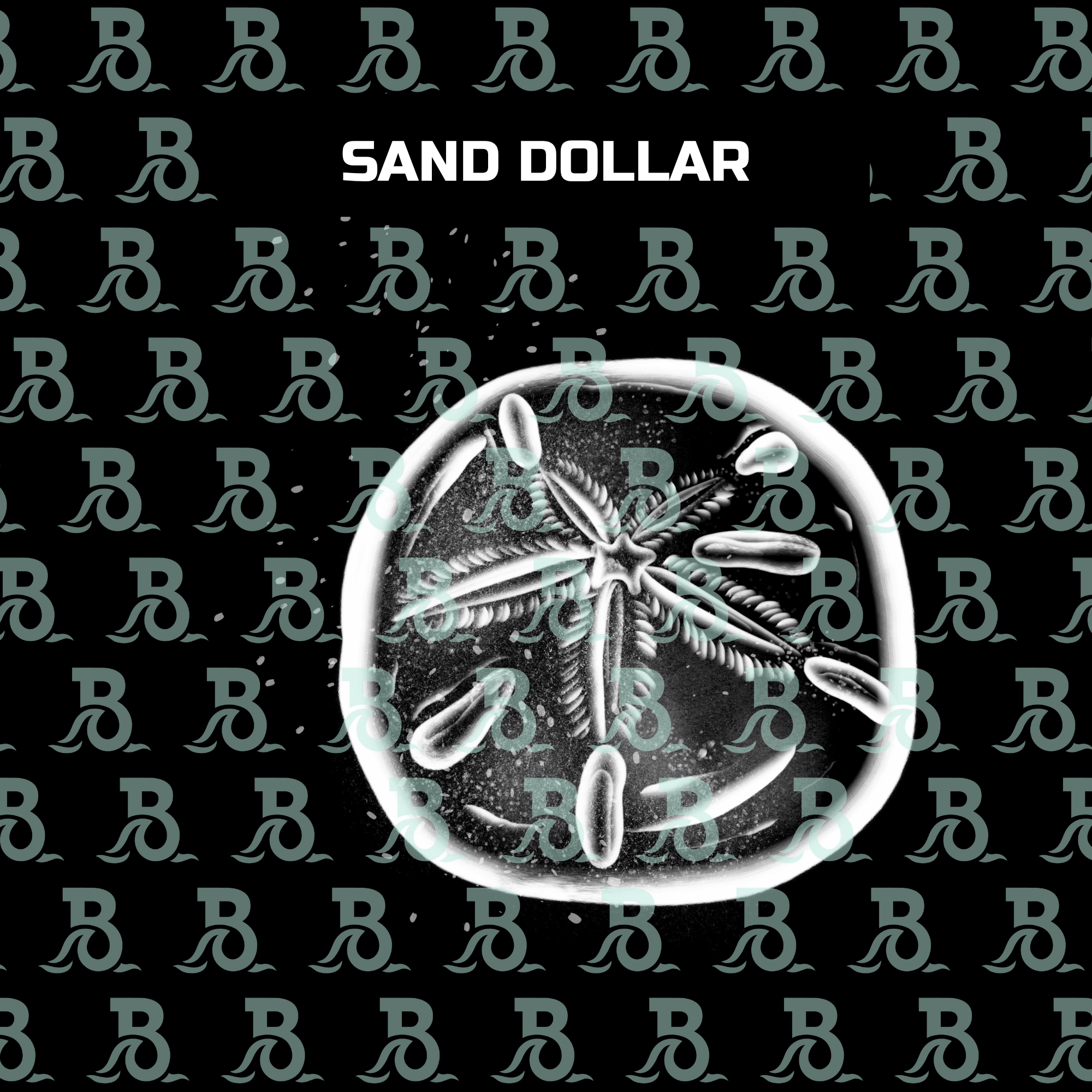 SAND DOLLAR.png
