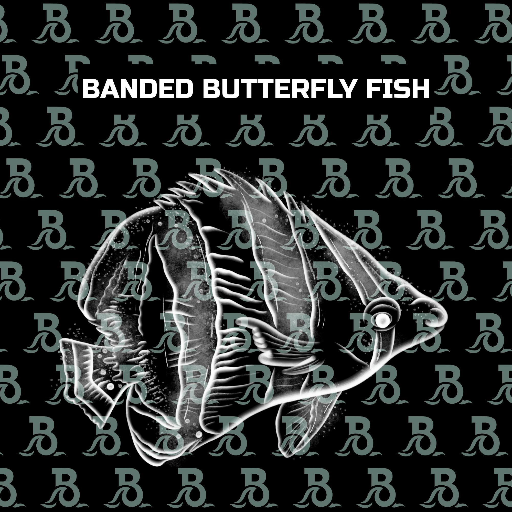 BANDED BUTTERFLY FISH.png