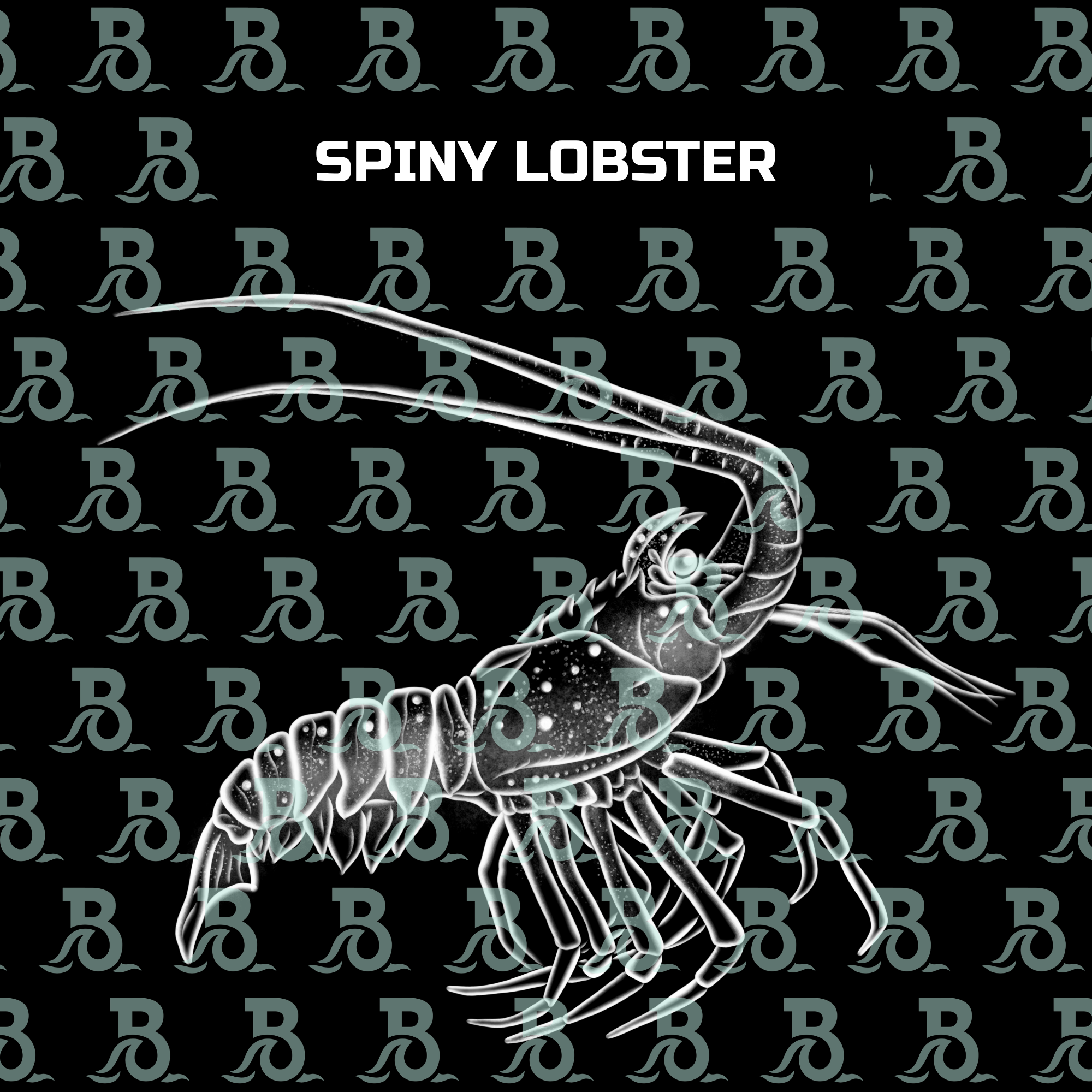 SPINY LOBSTER.png
