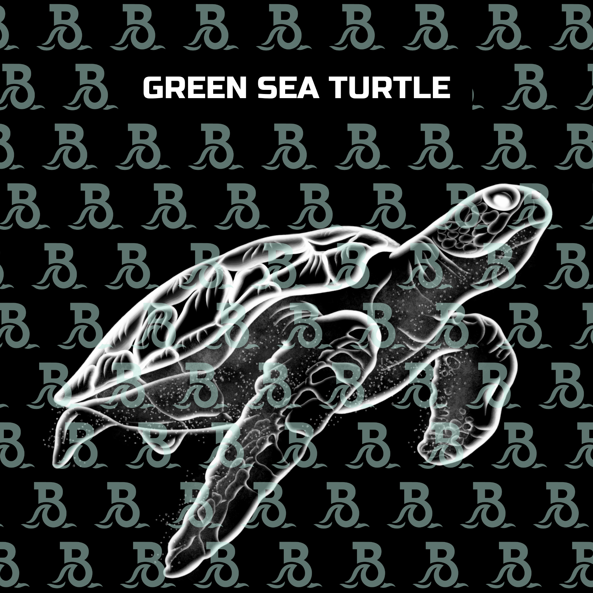 SEA TURTLE.png