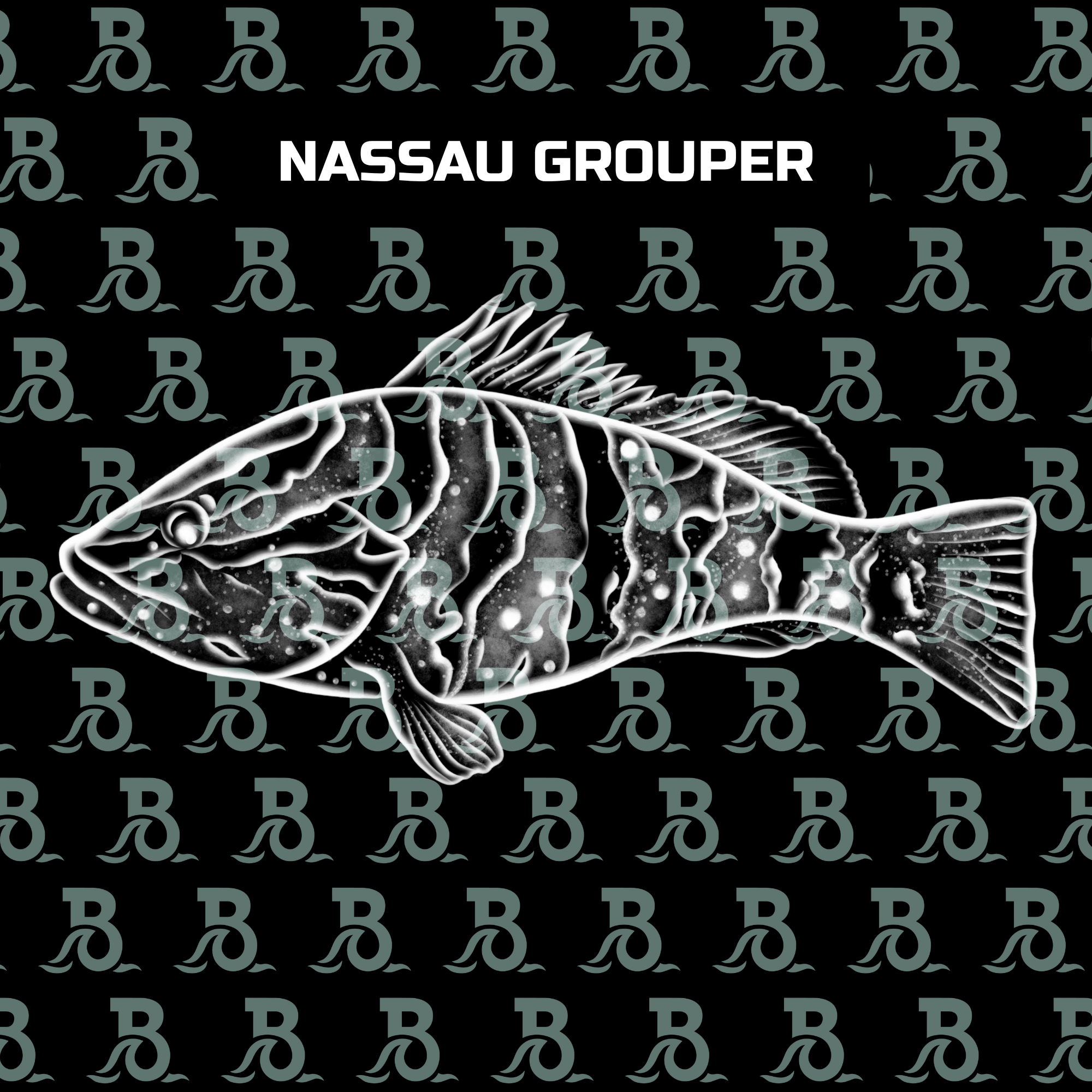 NASSAU GROUPER.png